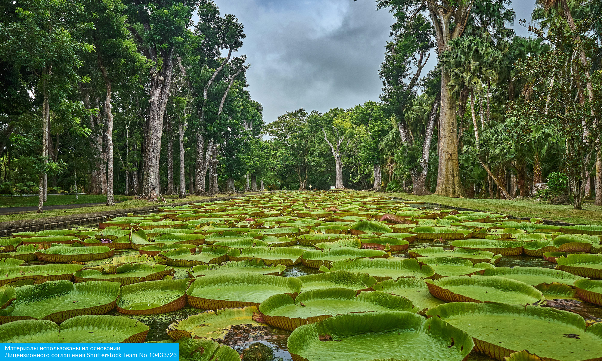 Восточный Мадагаскар и Маврикий (15/16)