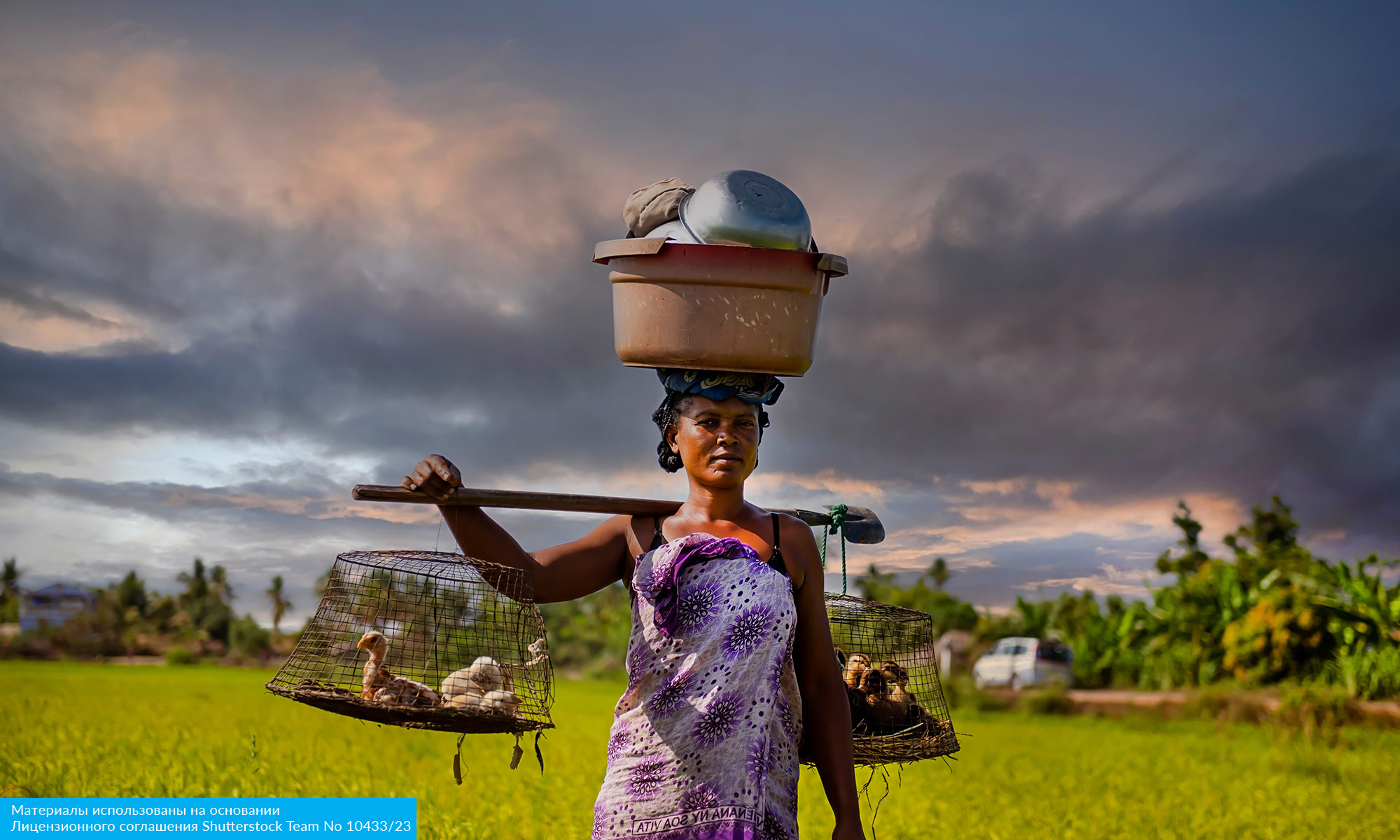 Восточный Мадагаскар и Маврикий (9/16)