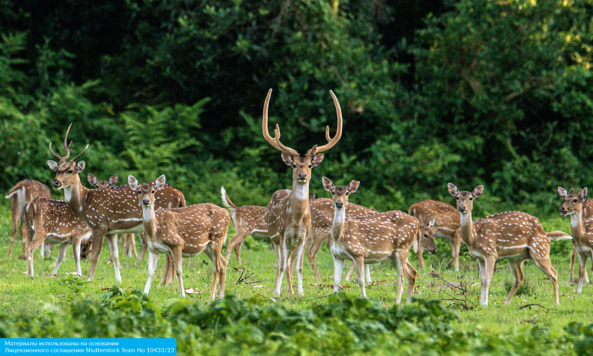 Всё лучшее в Непале с авиаперелетом из Москвы (10/22)