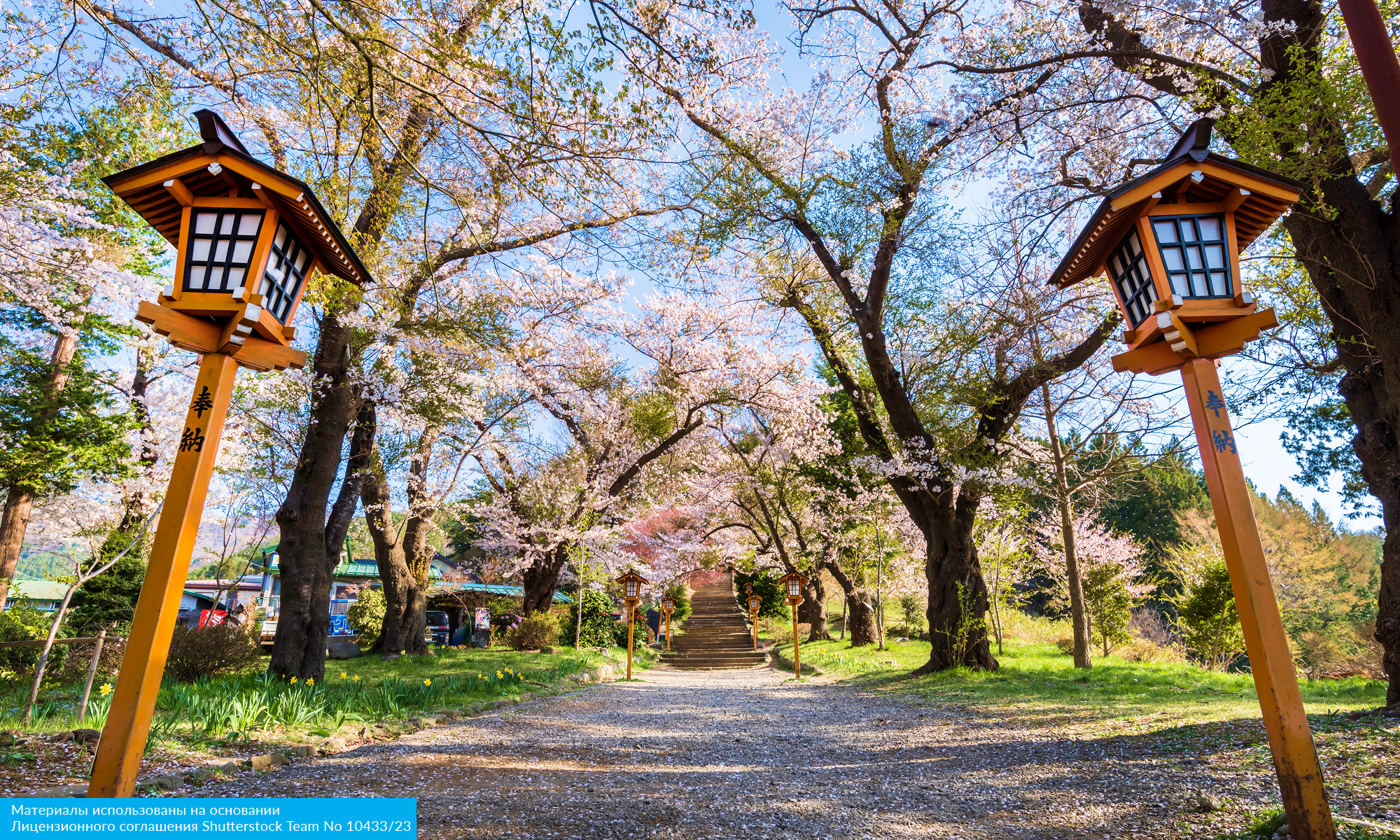 Япония, остров Окинава, киты и небоскребы Токио (19/25)