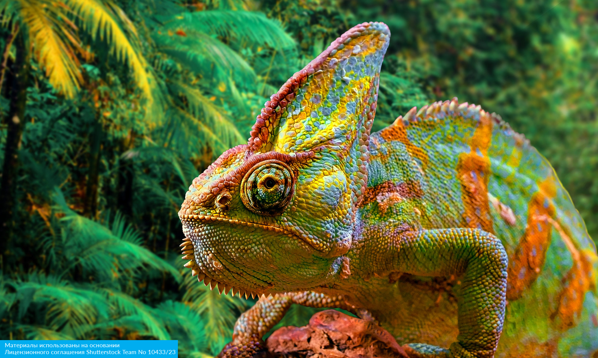 Восточный Мадагаскар и Маврикий (2/16)