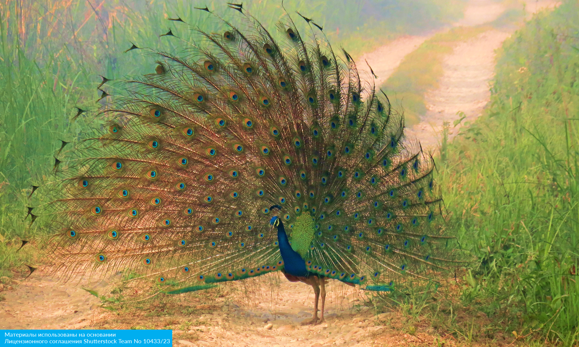 Всё лучшее в Непале с авиаперелетом из Москвы (11/22)