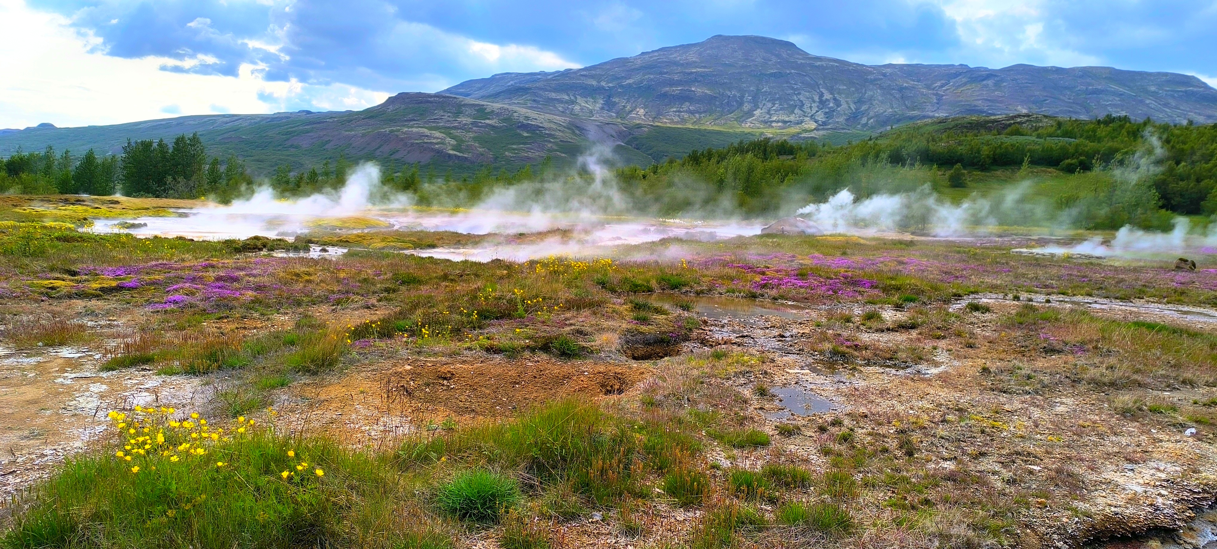 Исландия - вояж в страну огня и льда + киты (6/64)