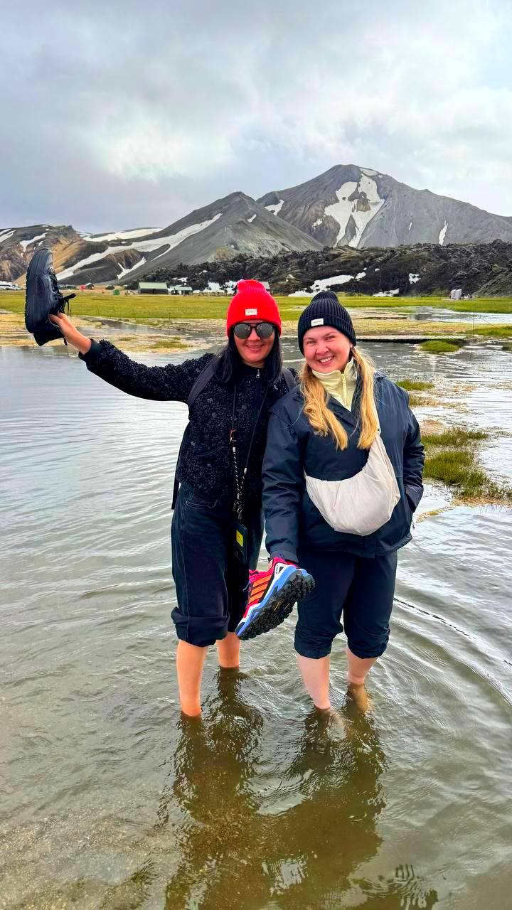 Исландия - вояж в страну огня и льда + киты (14/64)