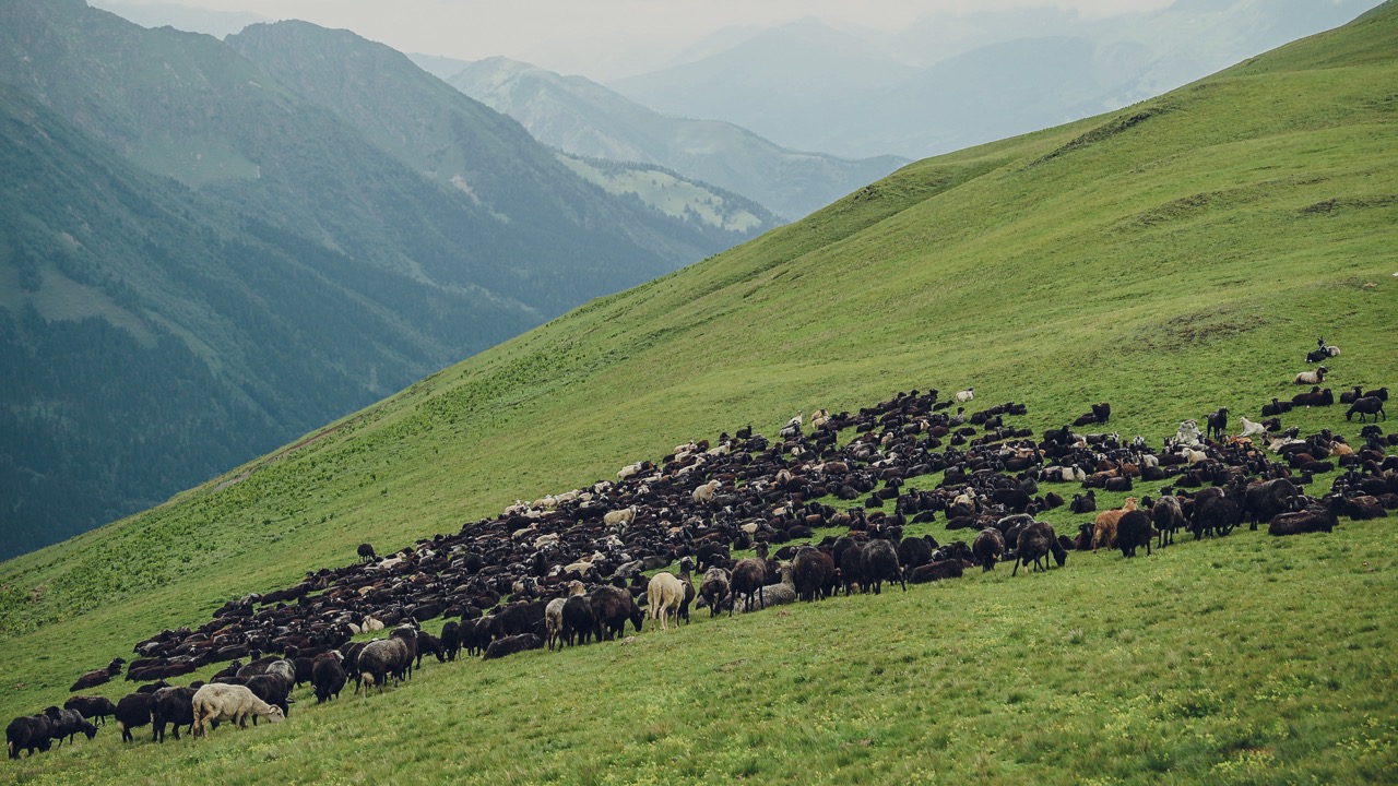 Конный тур-разведка Загеданское пятиозерье (6/33)
