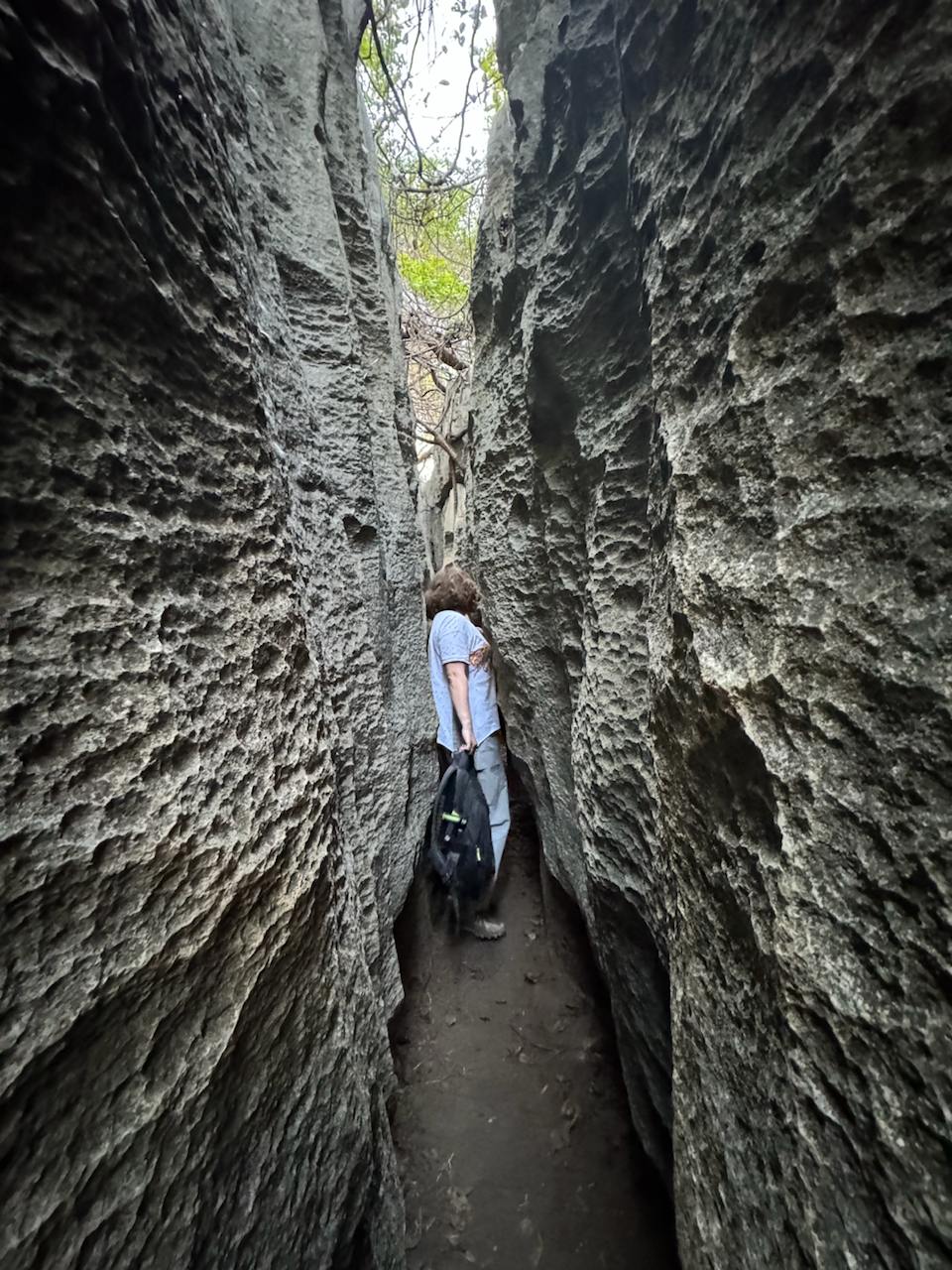 Экотрейл Аллея Баобабов (6/7)