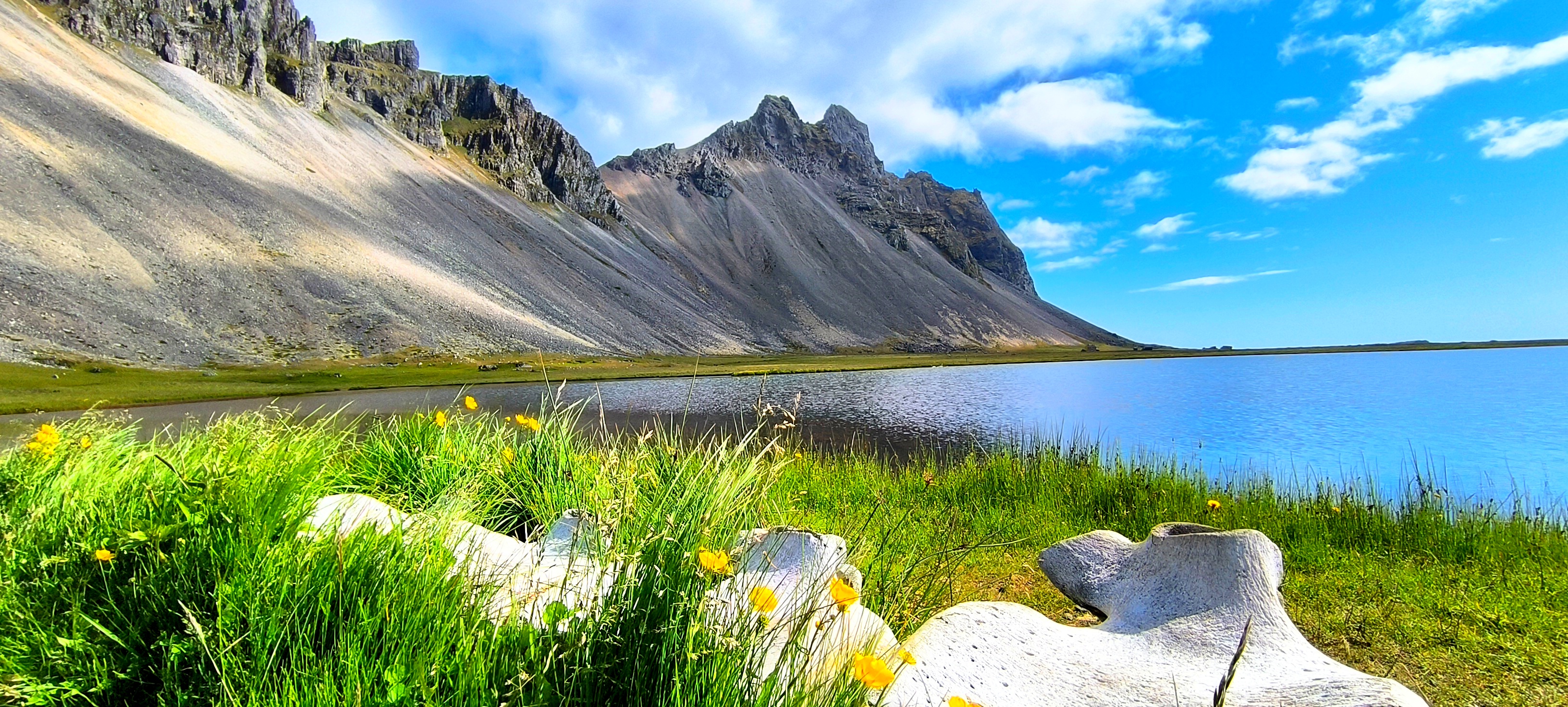 Исландия - вояж в страну огня и льда + киты (27/64)