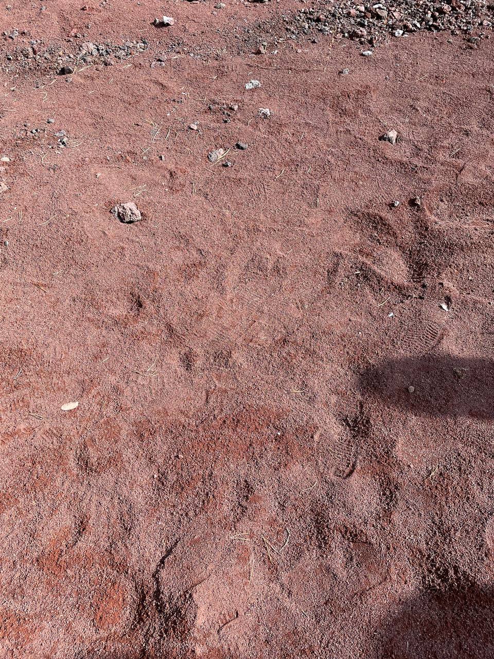 Бурятия, Аршан — дацаны, вулканы и термальные источники (33/44)