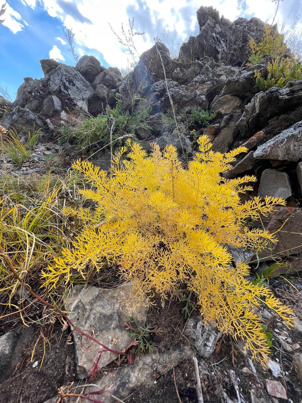 Большое Голоустное и величие Байкала (44/46)