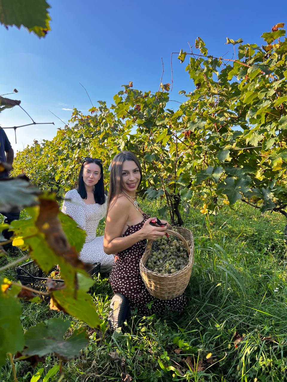 Осень, вино и свобода: путешествие в настоящую Грузию (6/24)