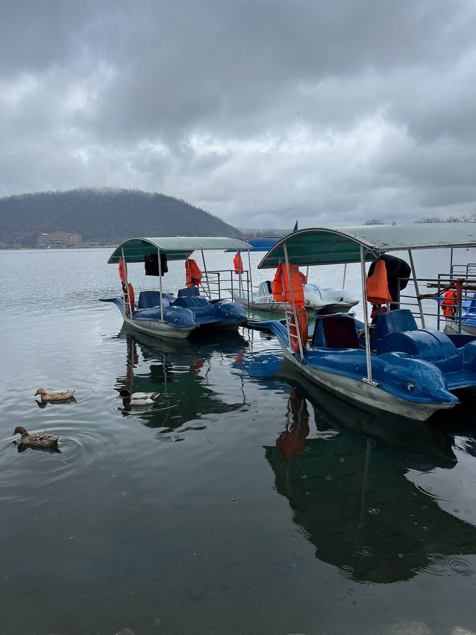 Азербайджан  Восточная сказка и вино (8/21)