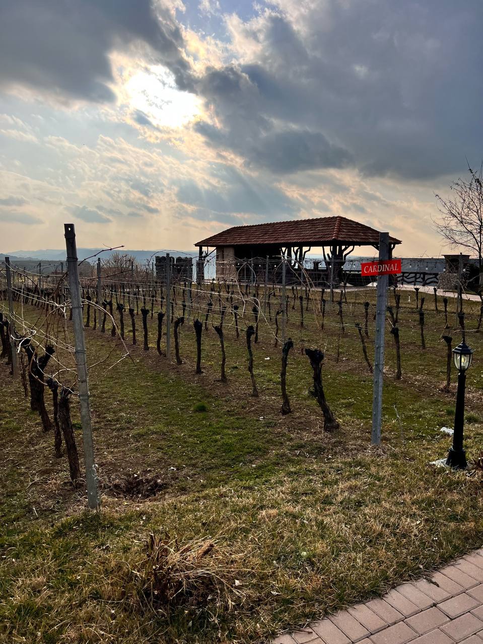 Азербайджан  Восточная сказка и вино (7/21)