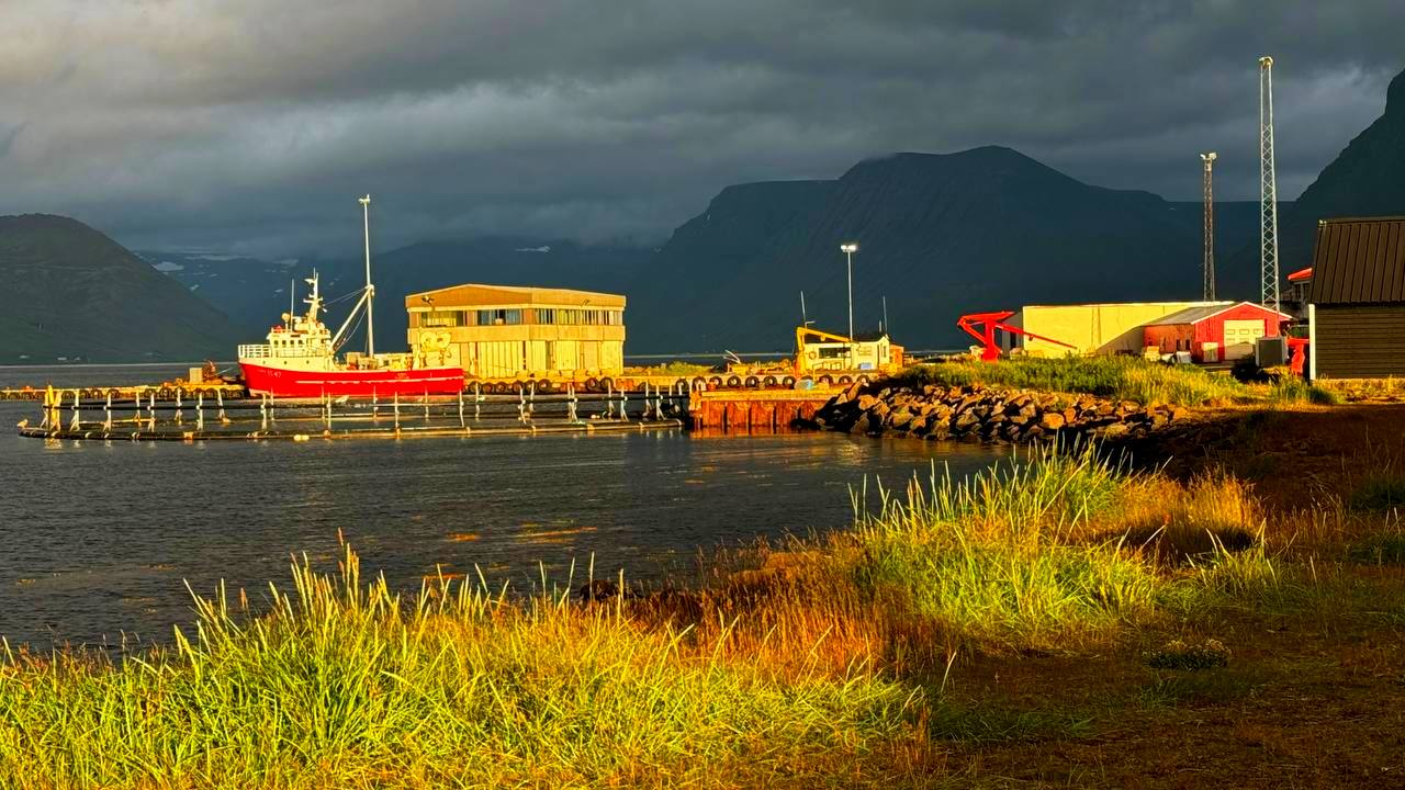 Исландия - вояж в страну огня и льда + киты (35/64)