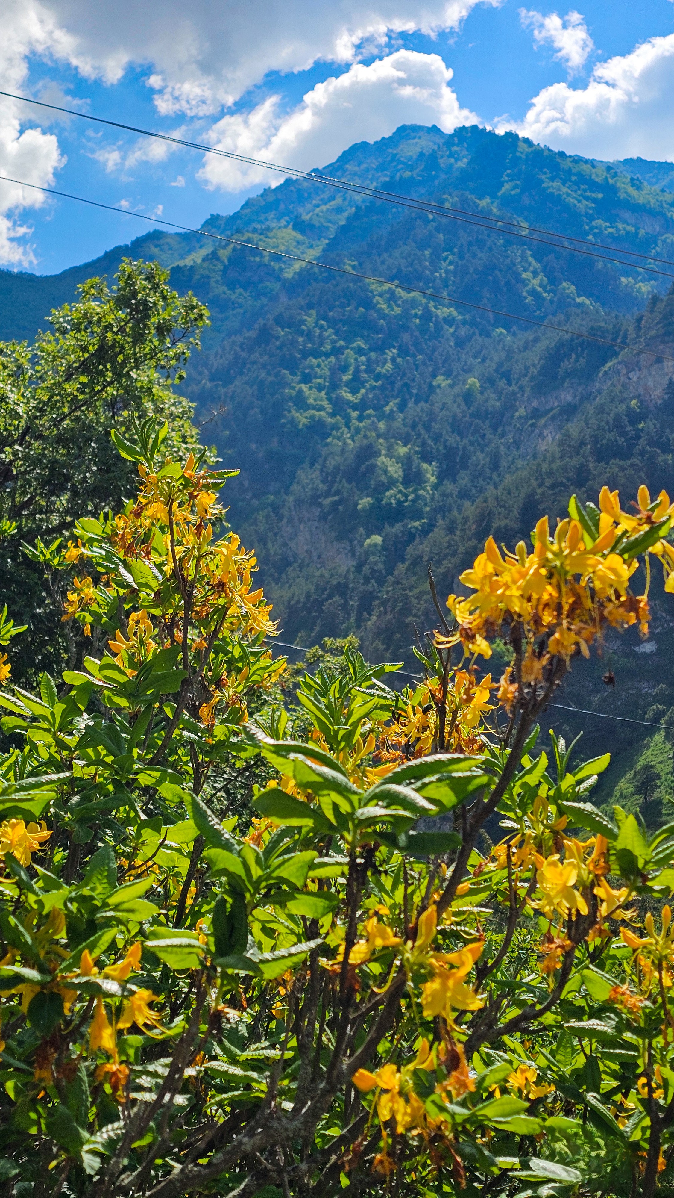 Северная Осетия. Горная любовь (из Минвод + Кисловодск) (79/121)