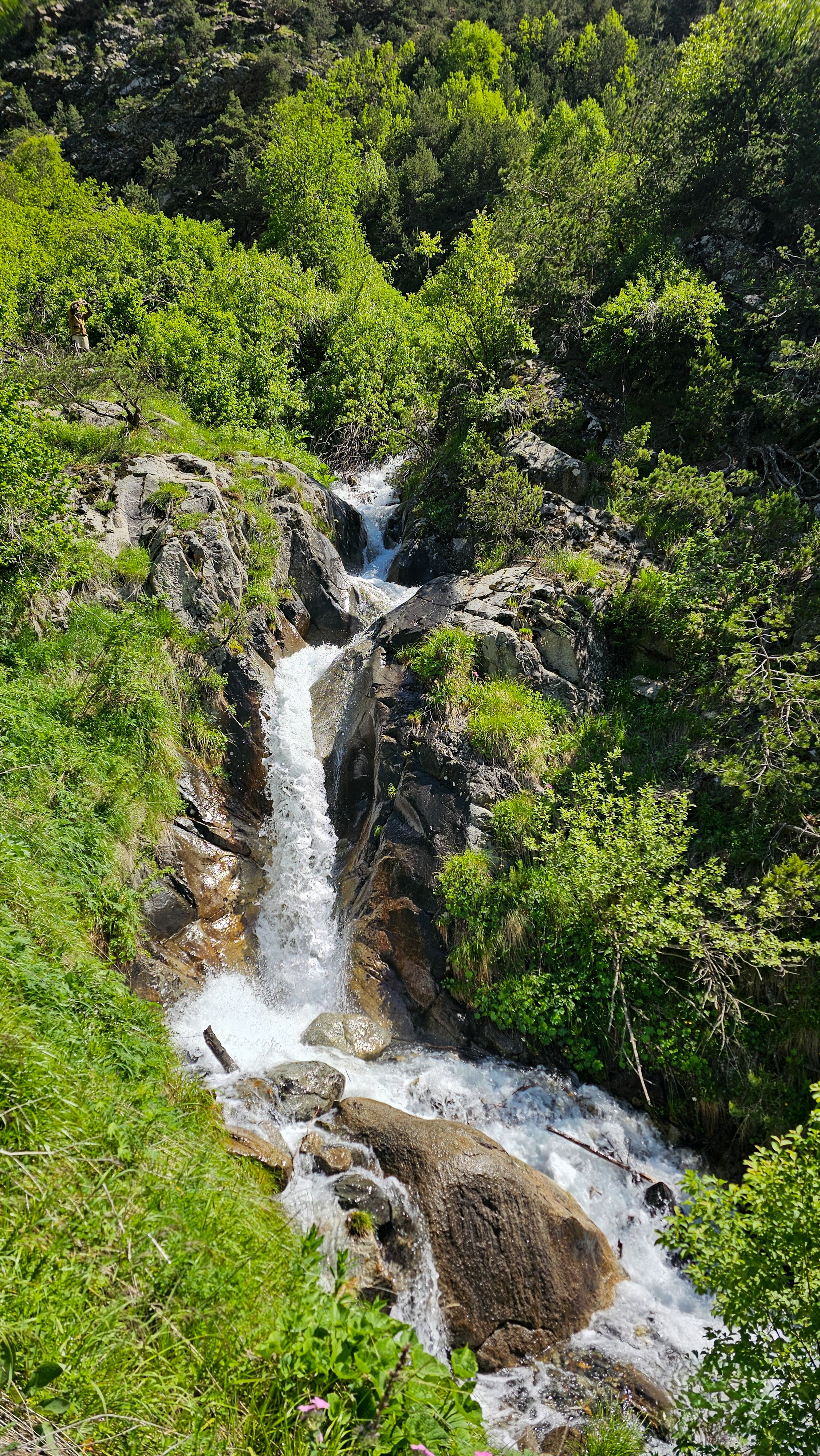 Северная Осетия. Горная любовь (из Минвод + Кисловодск) (86/121)