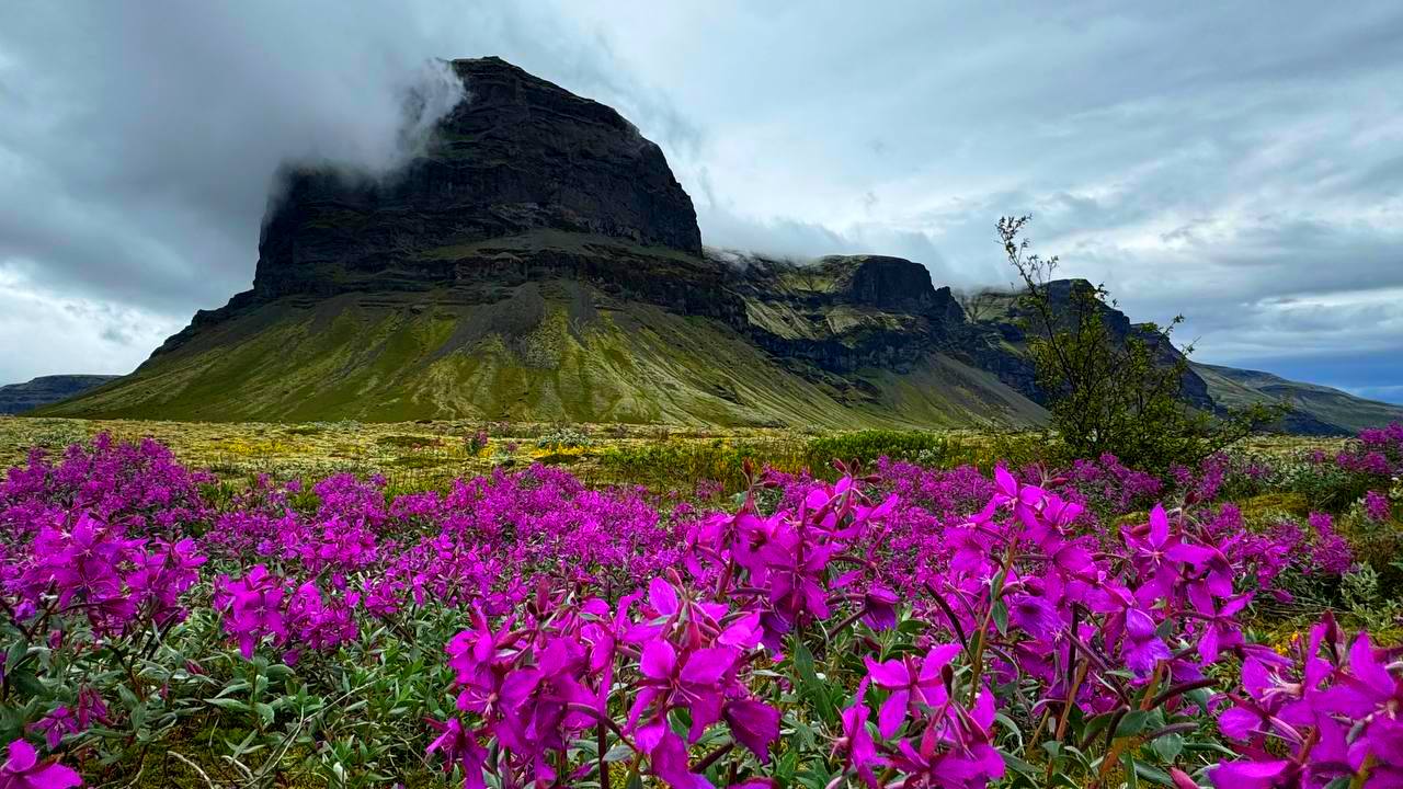 Исландия - вояж в страну огня и льда + киты (31/64)
