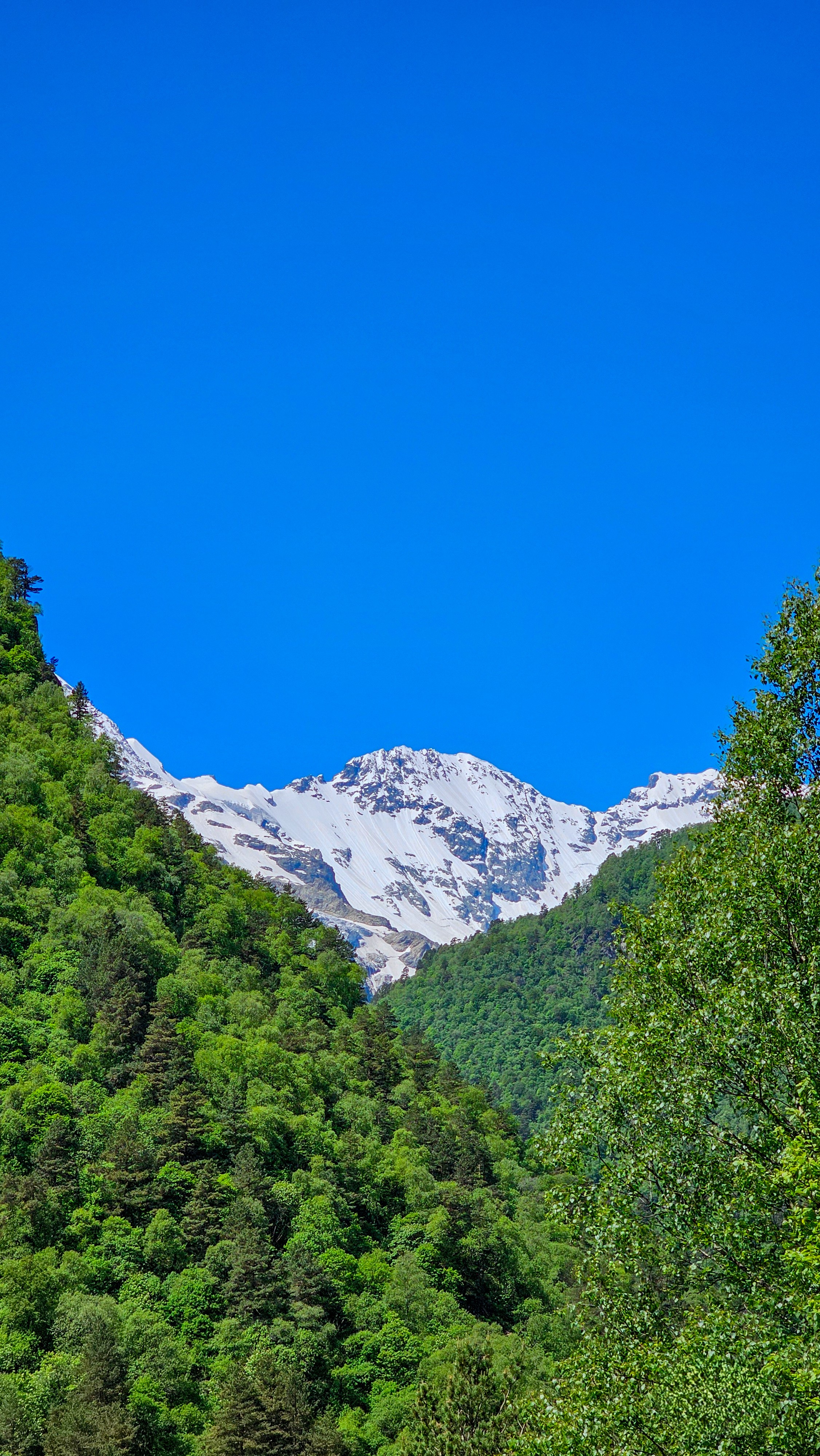 Северная Осетия. Горная любовь (из Минвод + Кисловодск) (87/121)
