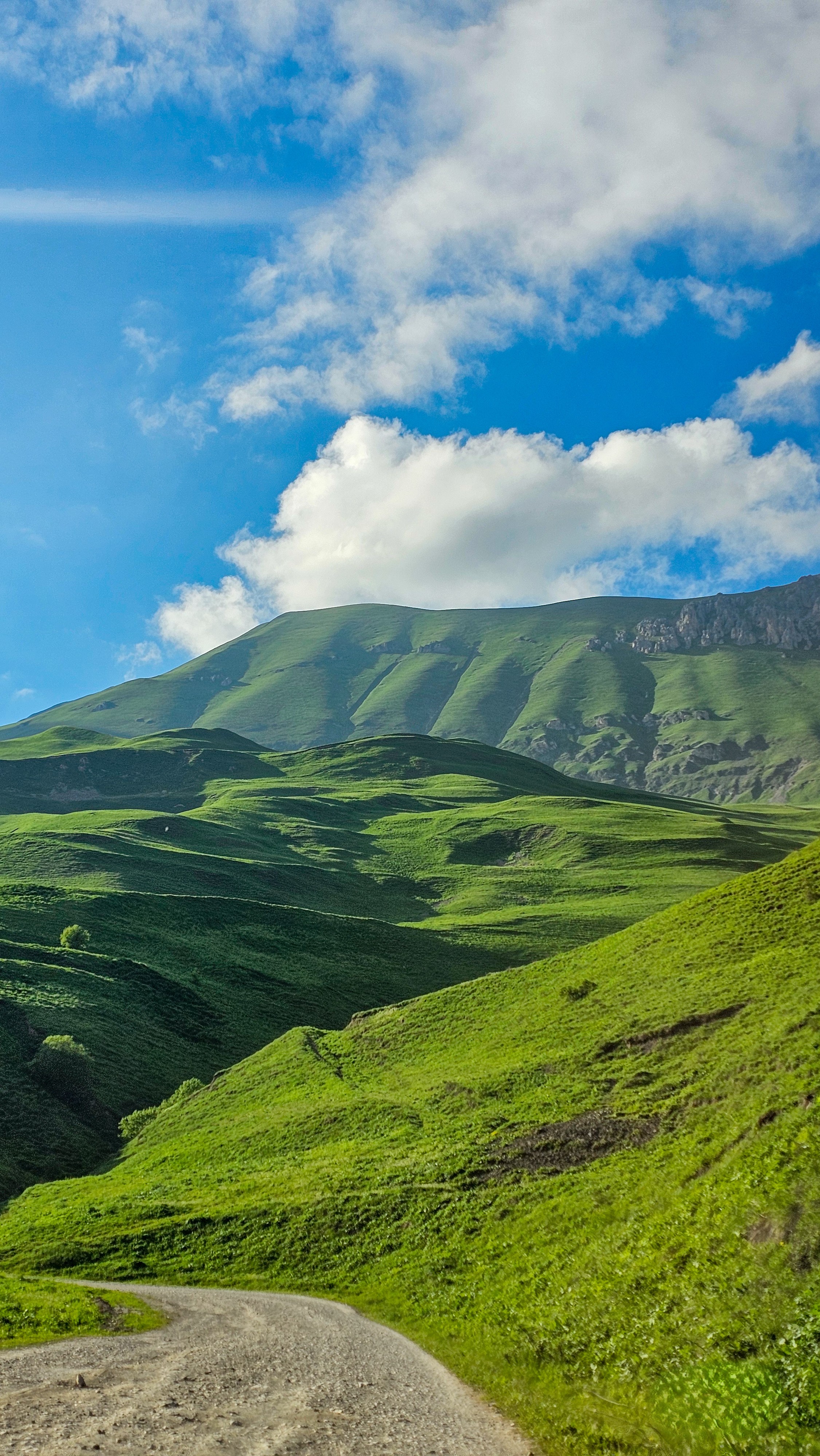 Северная Осетия. Горная любовь (из Минвод + Кисловодск) (34/121)