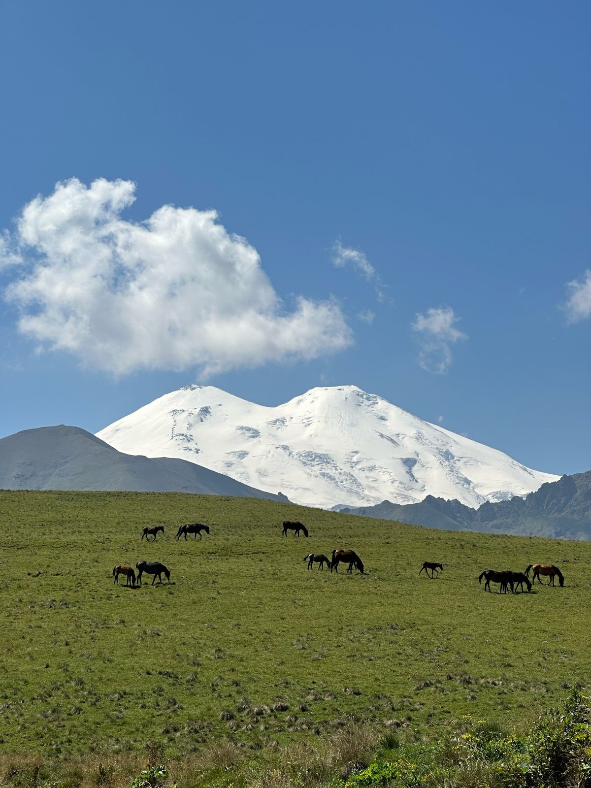 Кавказская перезагрузка. Домбай, Эльбрус, плато Бермамыт (27/46)