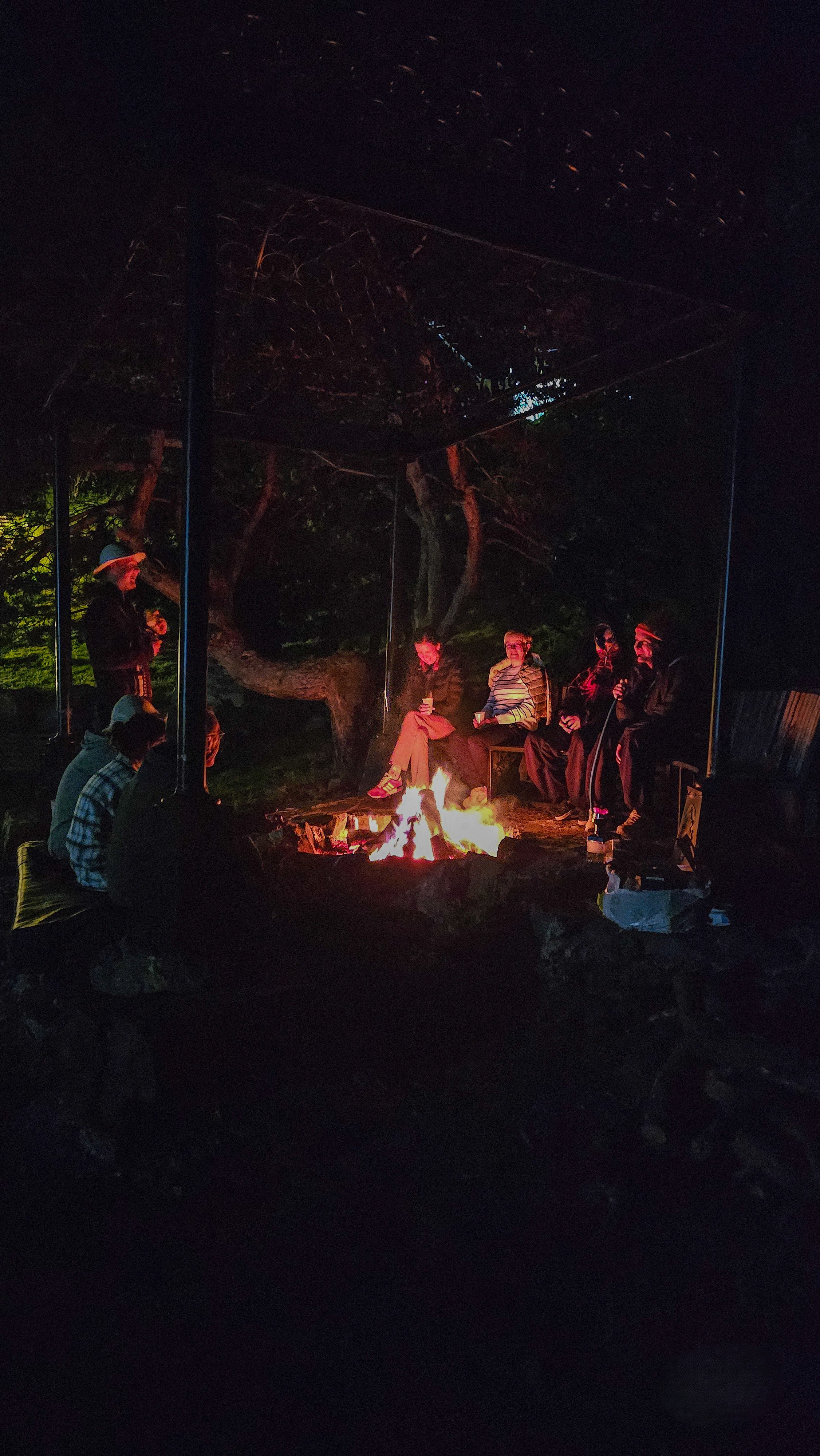 Северная Осетия. Горная любовь (из Минвод + Кисловодск) (81/121)