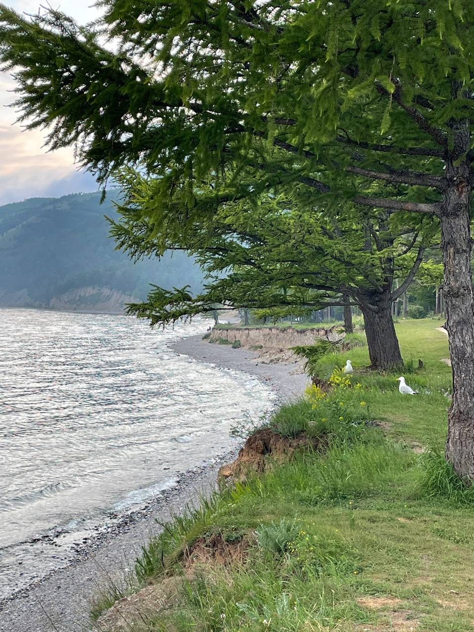 Большое Голоустное и величие Байкала (31/46)