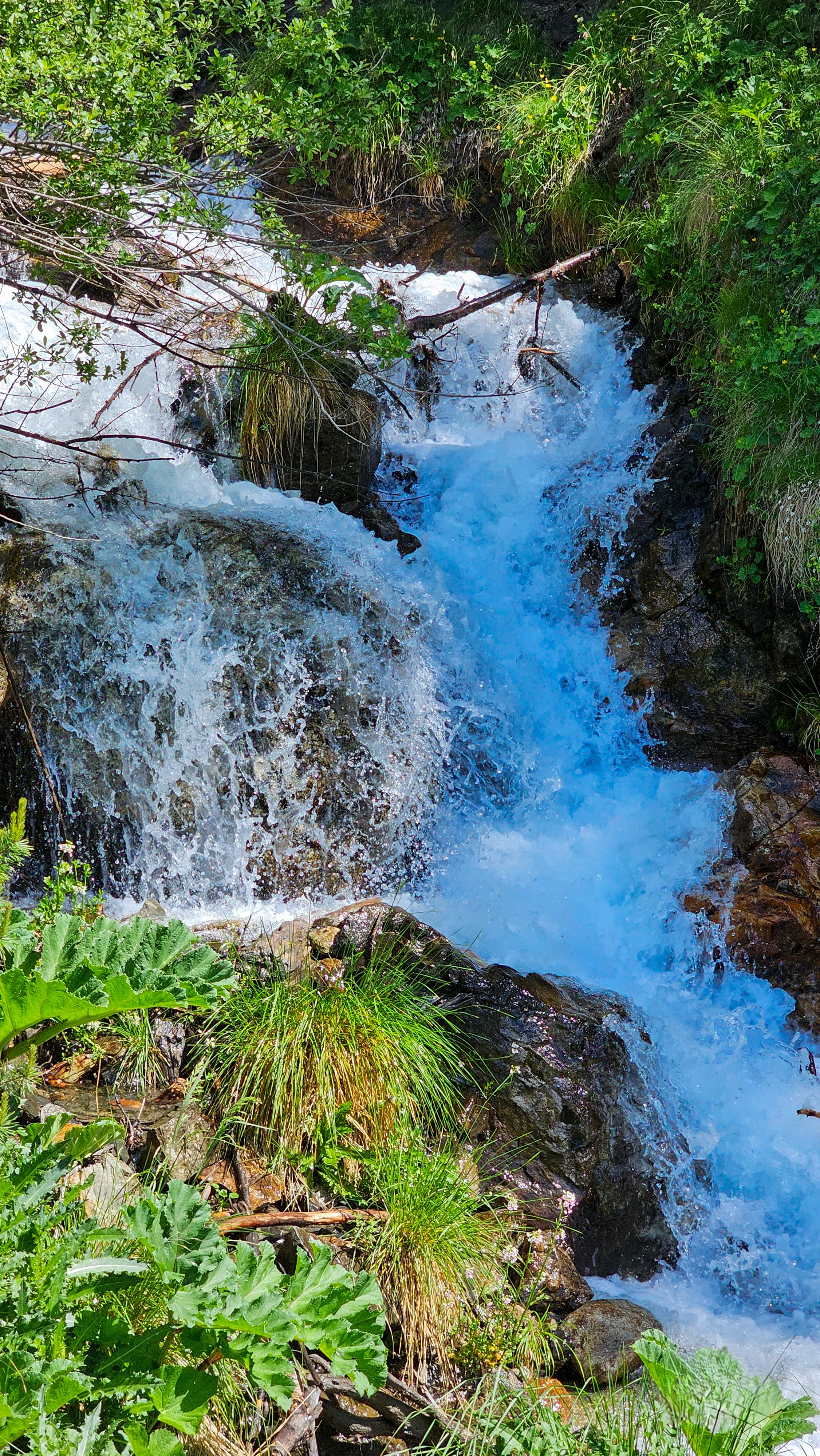 Северная Осетия. Горная любовь (из Минвод + Кисловодск) (83/121)