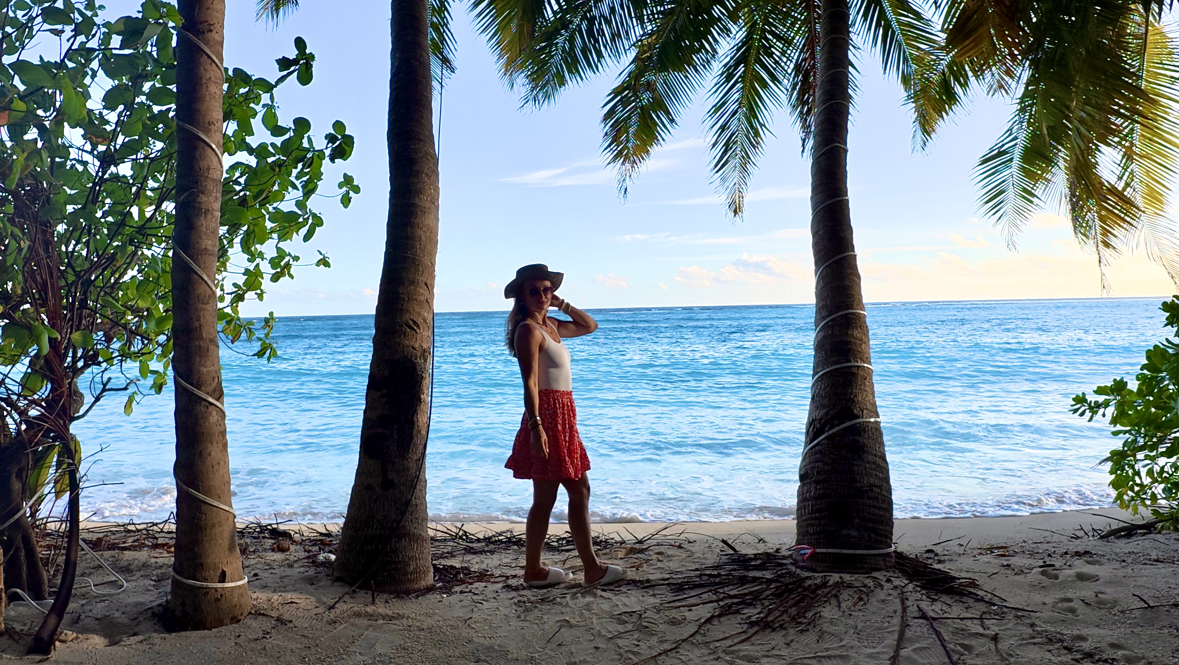 Тропическая дача: райский дайвинг, акулы и релакс (99/133)