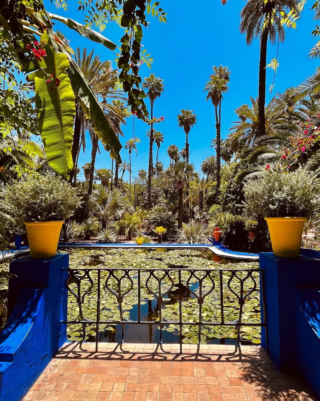 Выходные в Марокко 3 дня. (Касабланка, Танжер, Марракеш) (61/124)