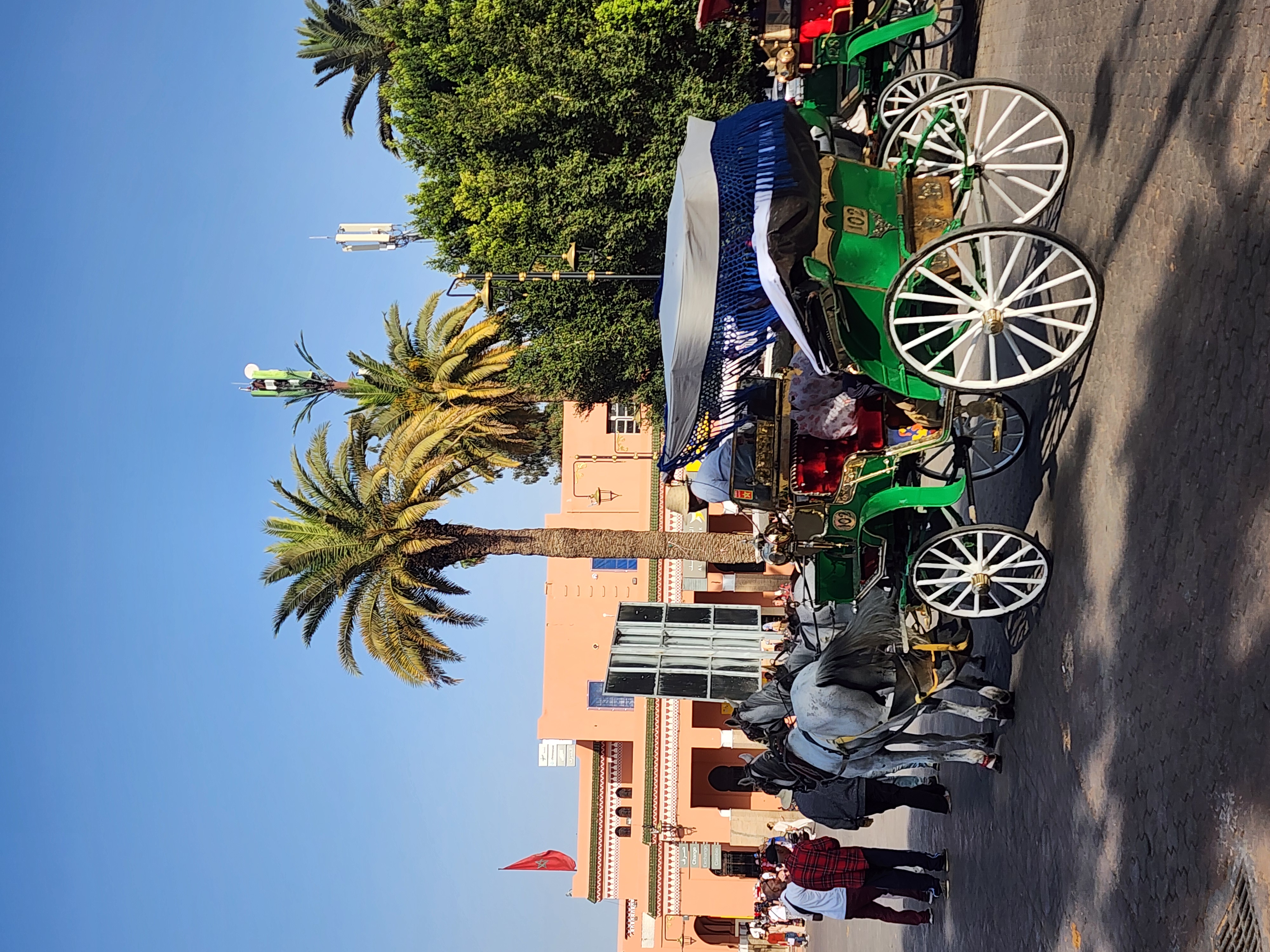 Выходные в Марокко 3 дня. (Касабланка, Танжер, Марракеш) (17/124)