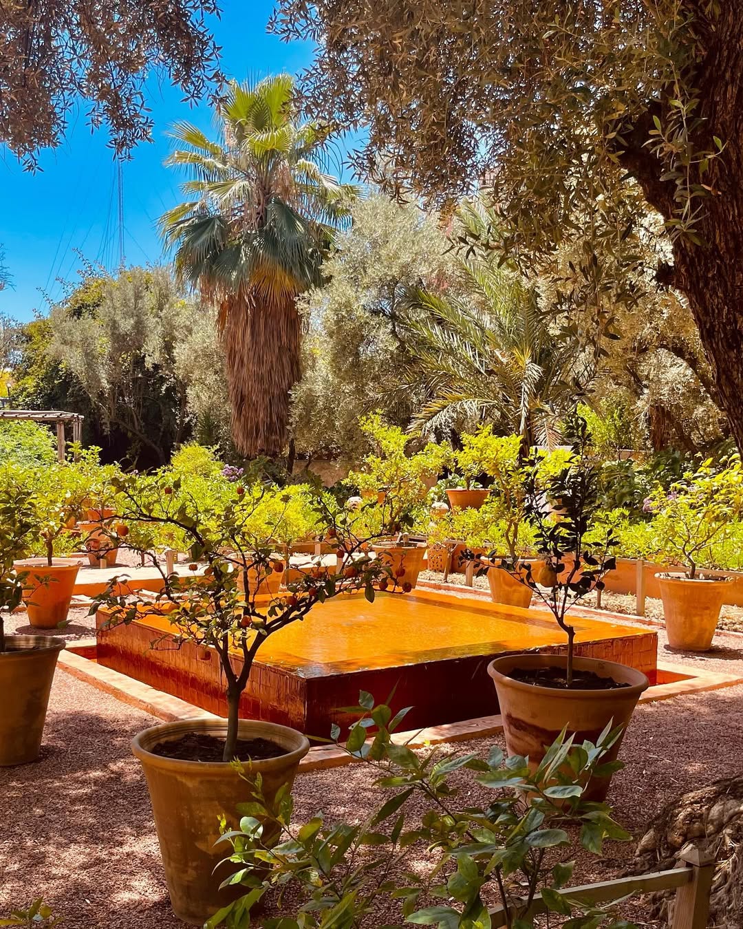 Выходные в Марокко 3 дня. (Касабланка, Танжер, Марракеш) (60/124)