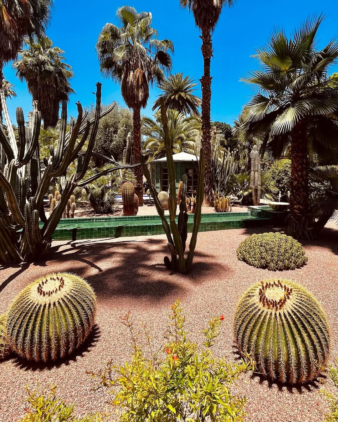 Выходные в Марокко 3 дня. (Касабланка, Танжер, Марракеш) (63/124)