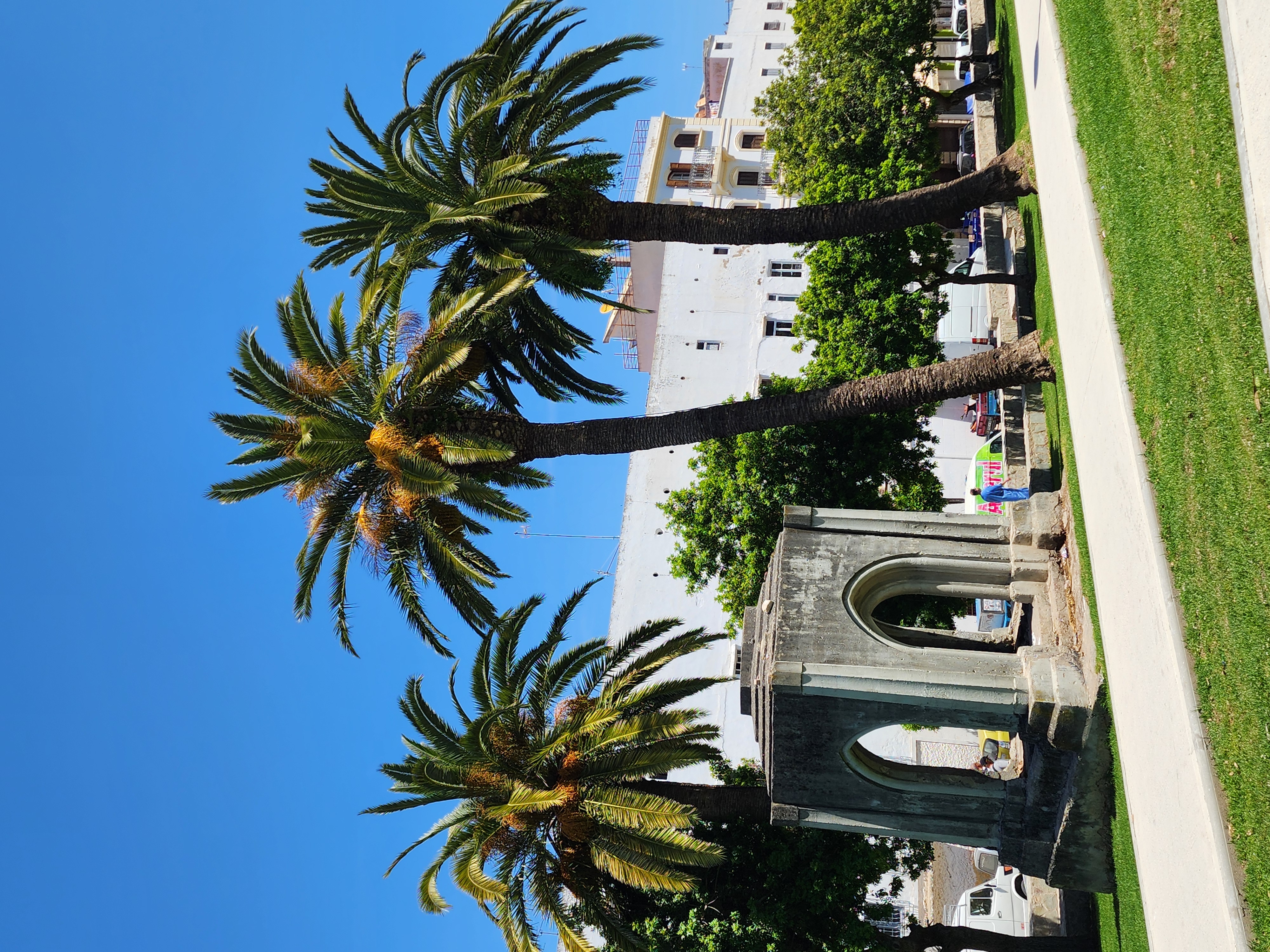 Выходные в Марокко 3 дня. (Касабланка, Танжер, Марракеш) (101/124)