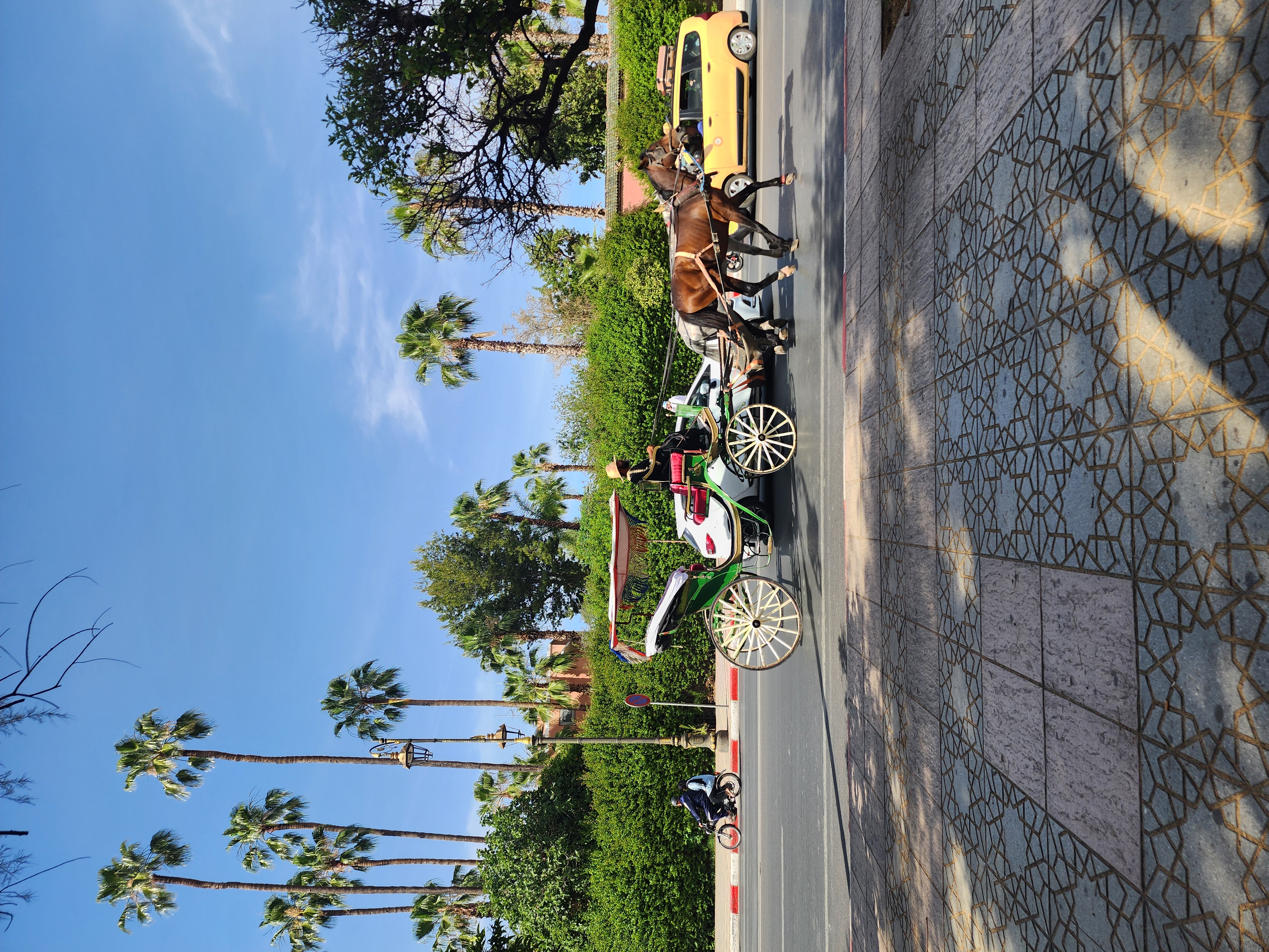 Выходные в Марокко 3 дня. (Касабланка, Танжер, Марракеш) (40/124)