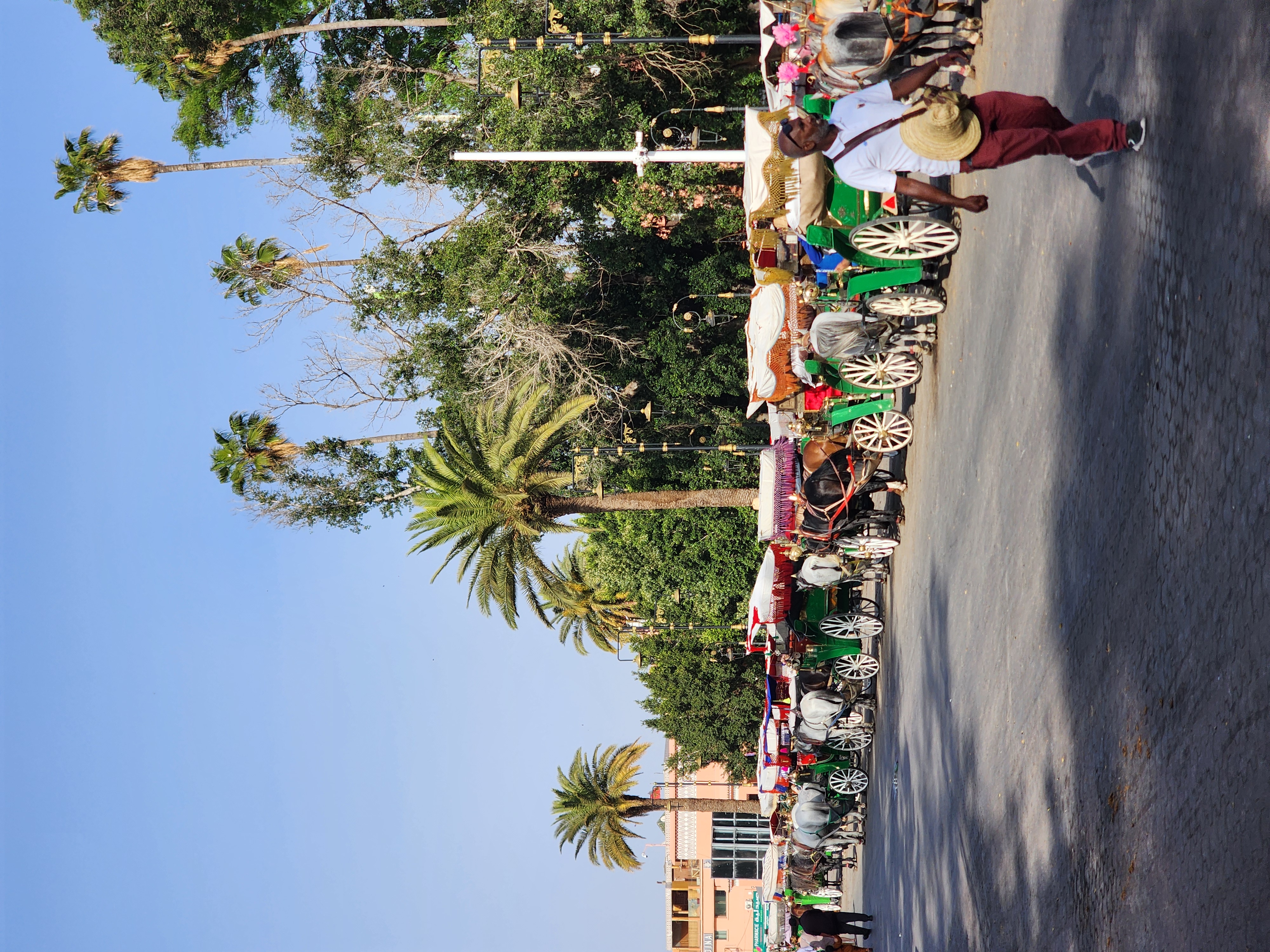 Выходные в Марокко 3 дня. (Касабланка, Танжер, Марракеш) (16/124)