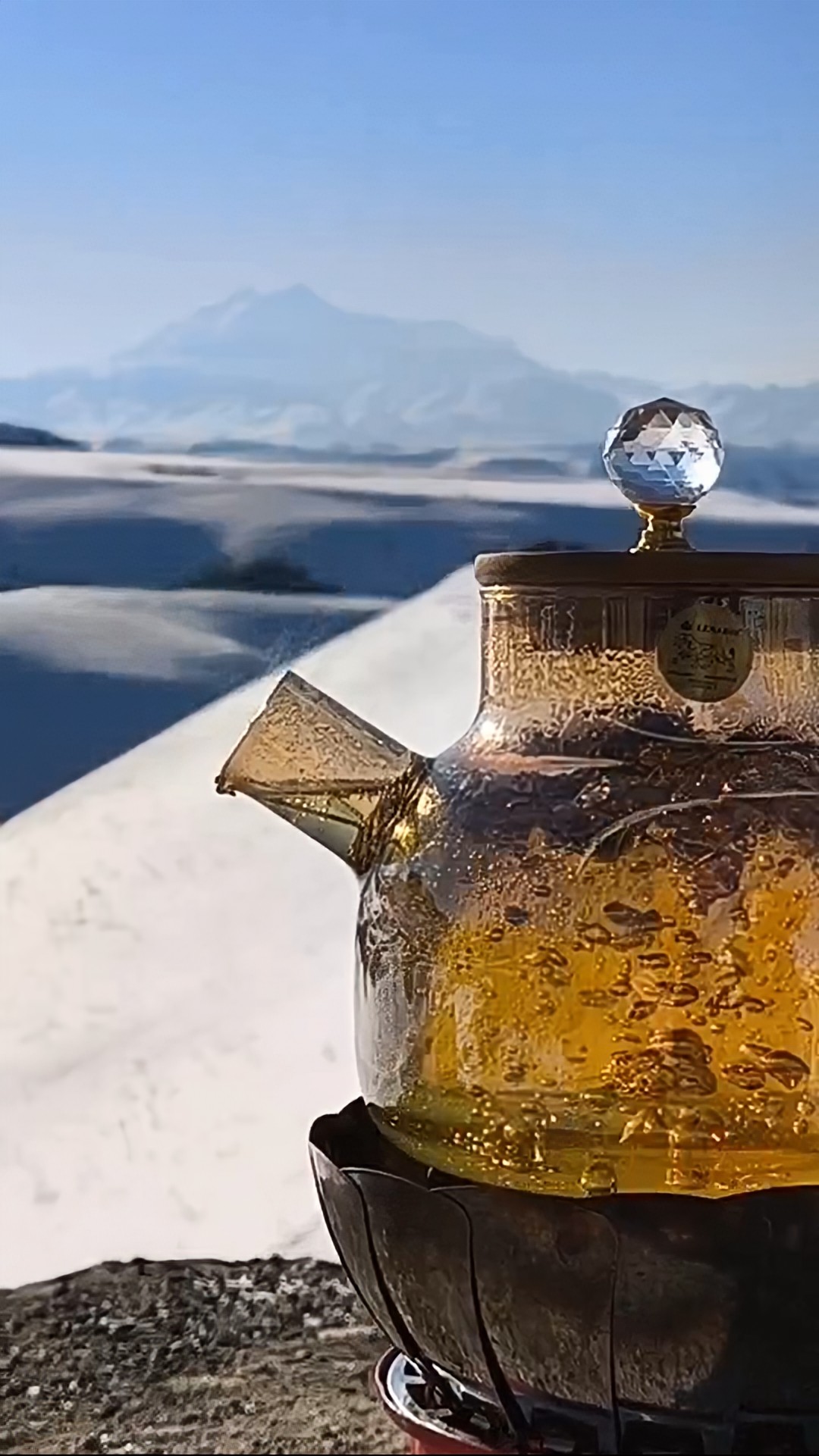 Великолепный Эльбрус и Домбай (16/25)