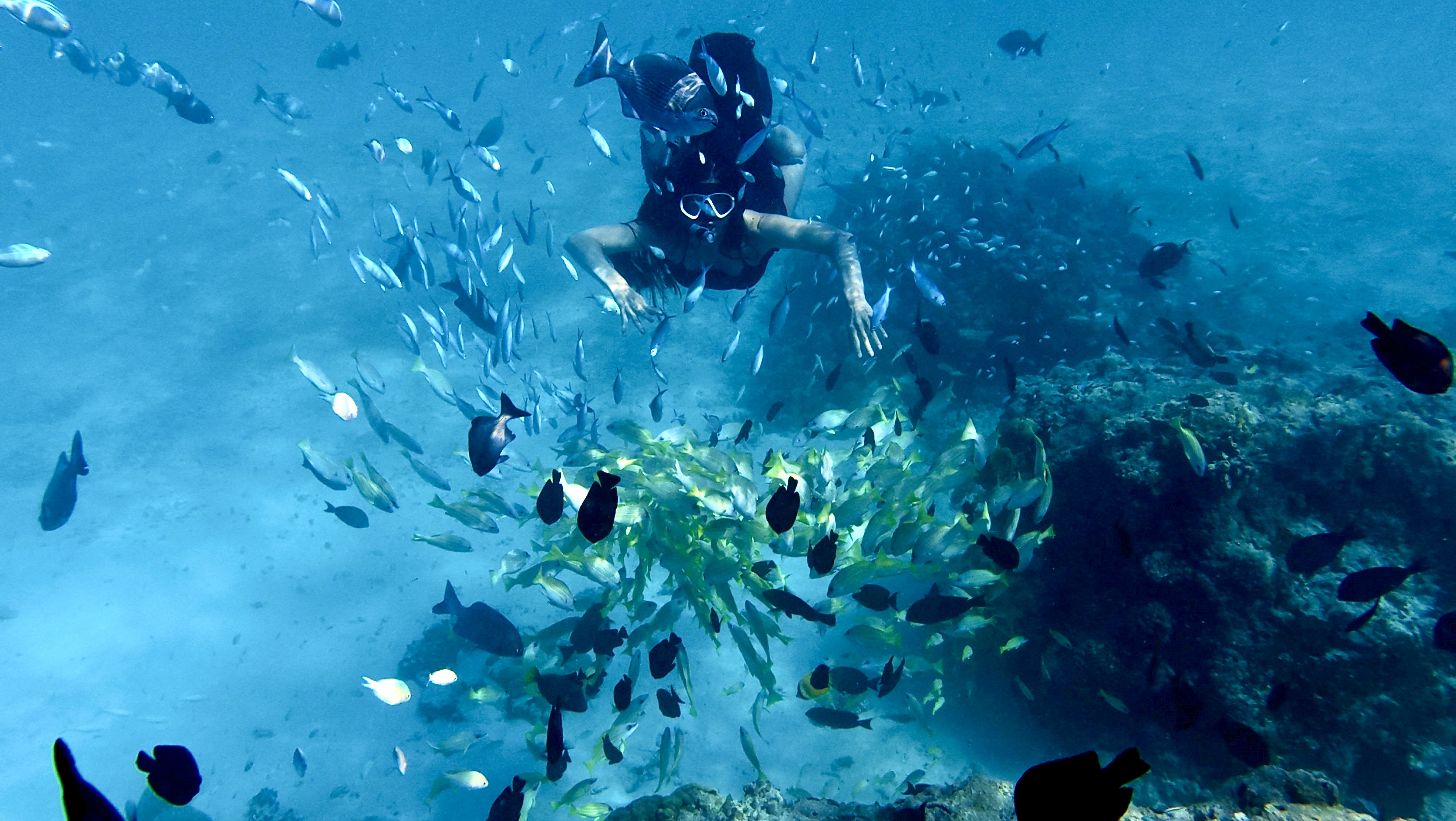 Тропическая дача: райский дайвинг, акулы и релакс (105/133)