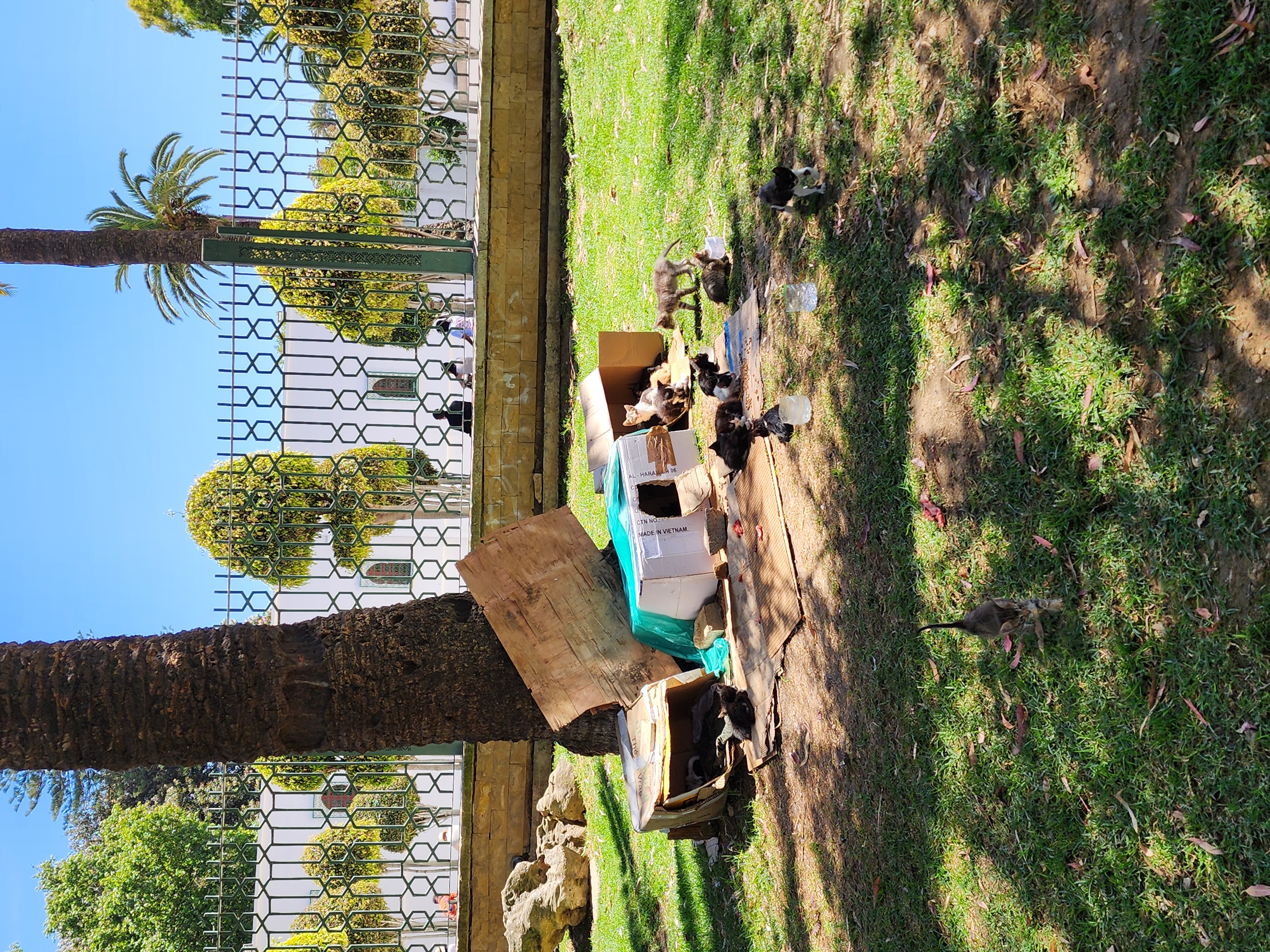 Выходные в Марокко 3 дня. (Касабланка, Танжер, Марракеш) (103/124)