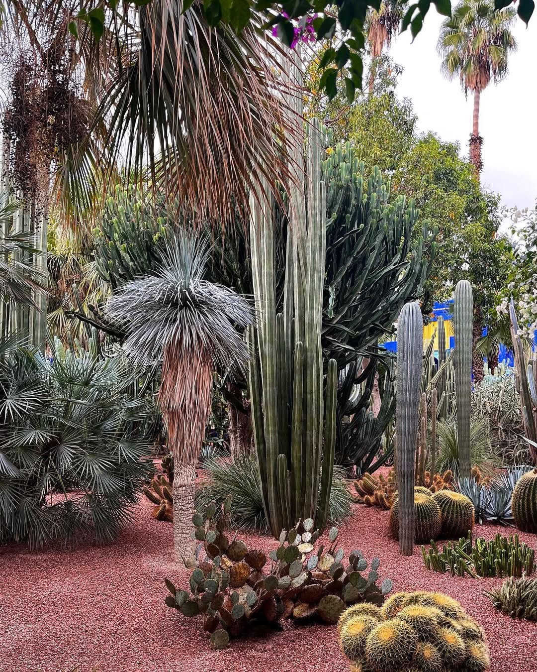 Выходные в Марокко 3 дня. (Касабланка, Танжер, Марракеш) (56/124)