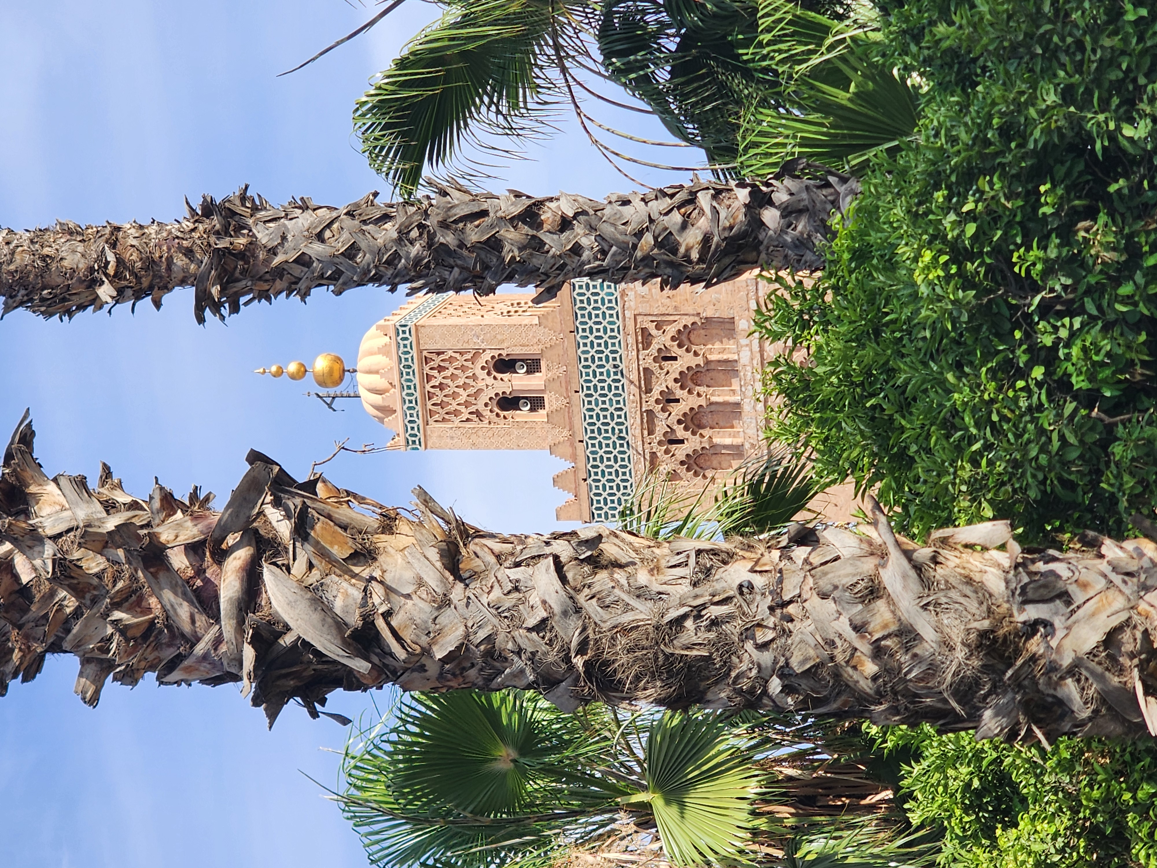 Выходные в Марокко 3 дня. (Касабланка, Танжер, Марракеш) (41/124)