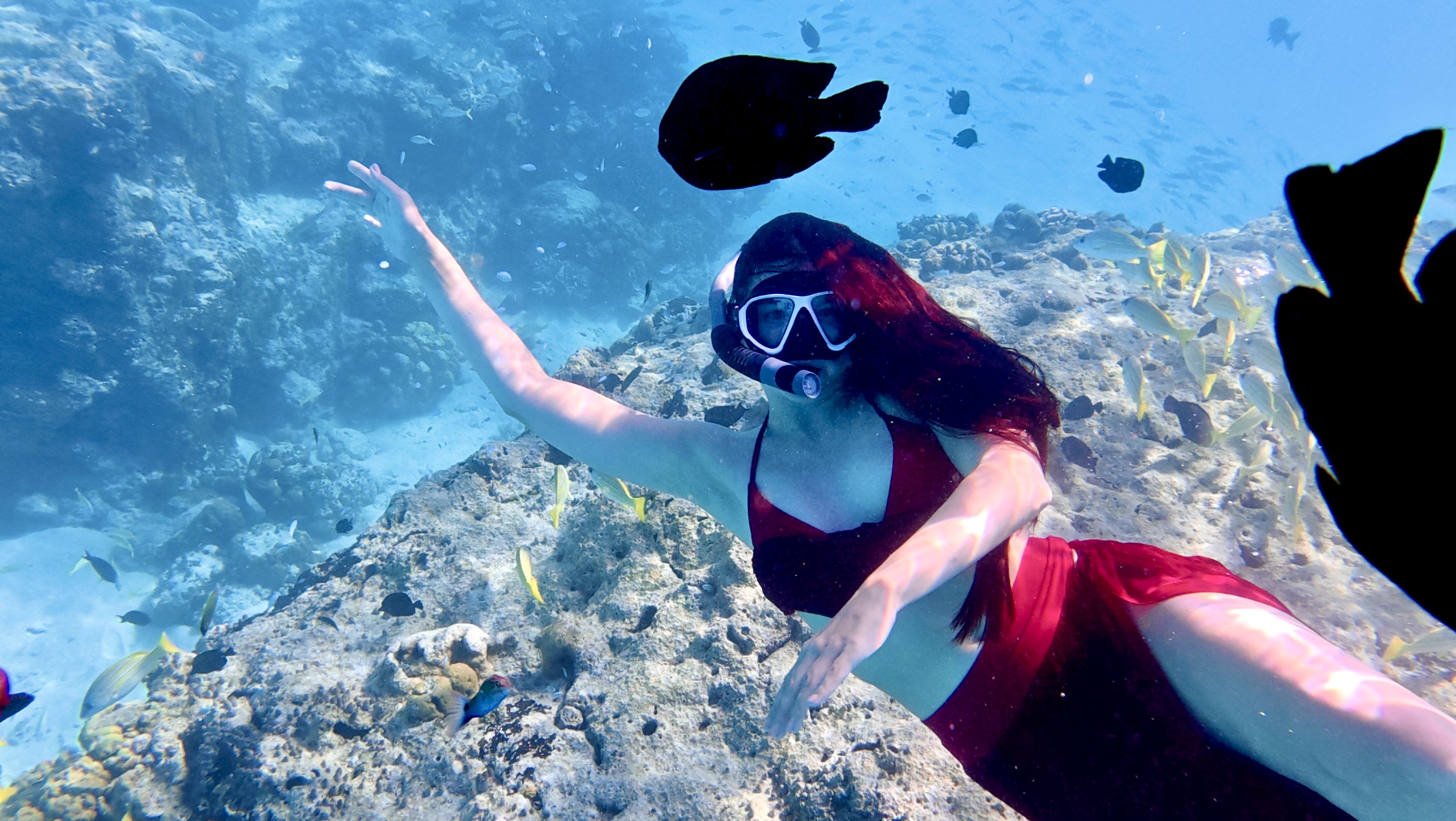 Тропическая дача: райский дайвинг, акулы и релакс (104/133)