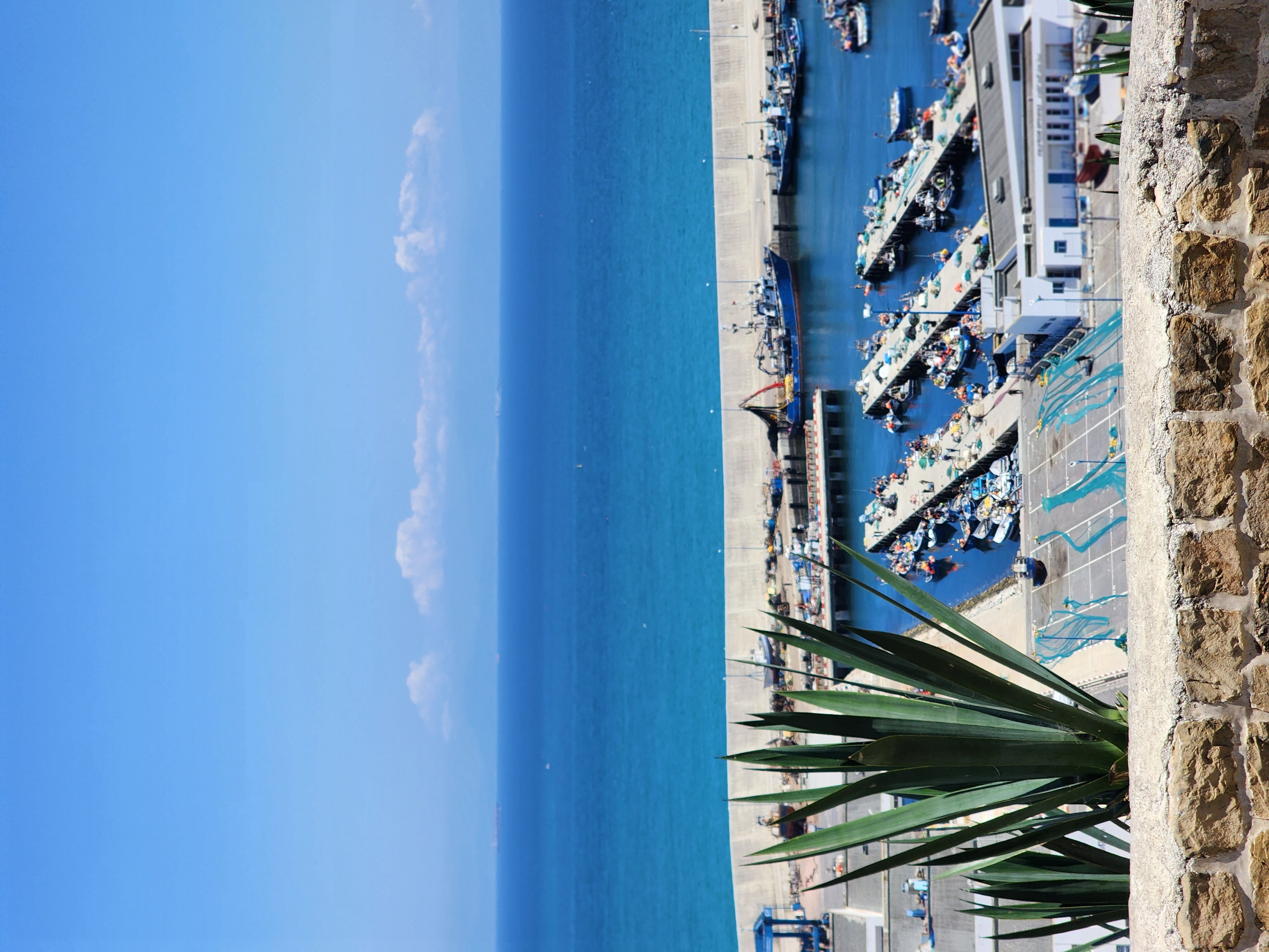 Выходные в Марокко 3 дня. (Касабланка, Танжер, Марракеш) (96/124)