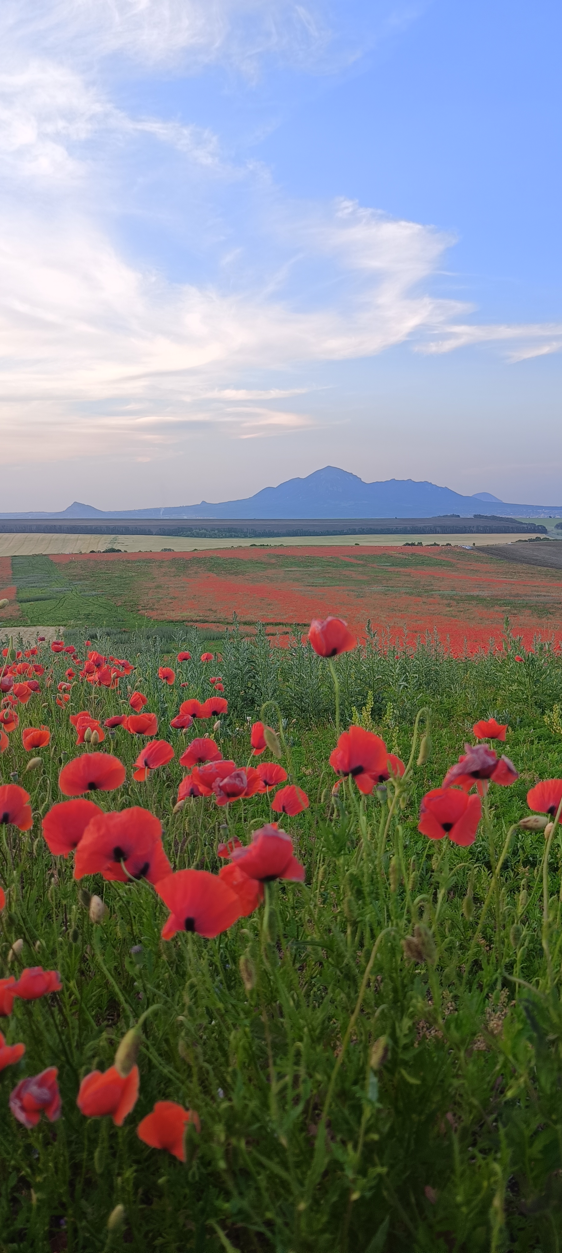 Великолепные Эльбрус и Домбай