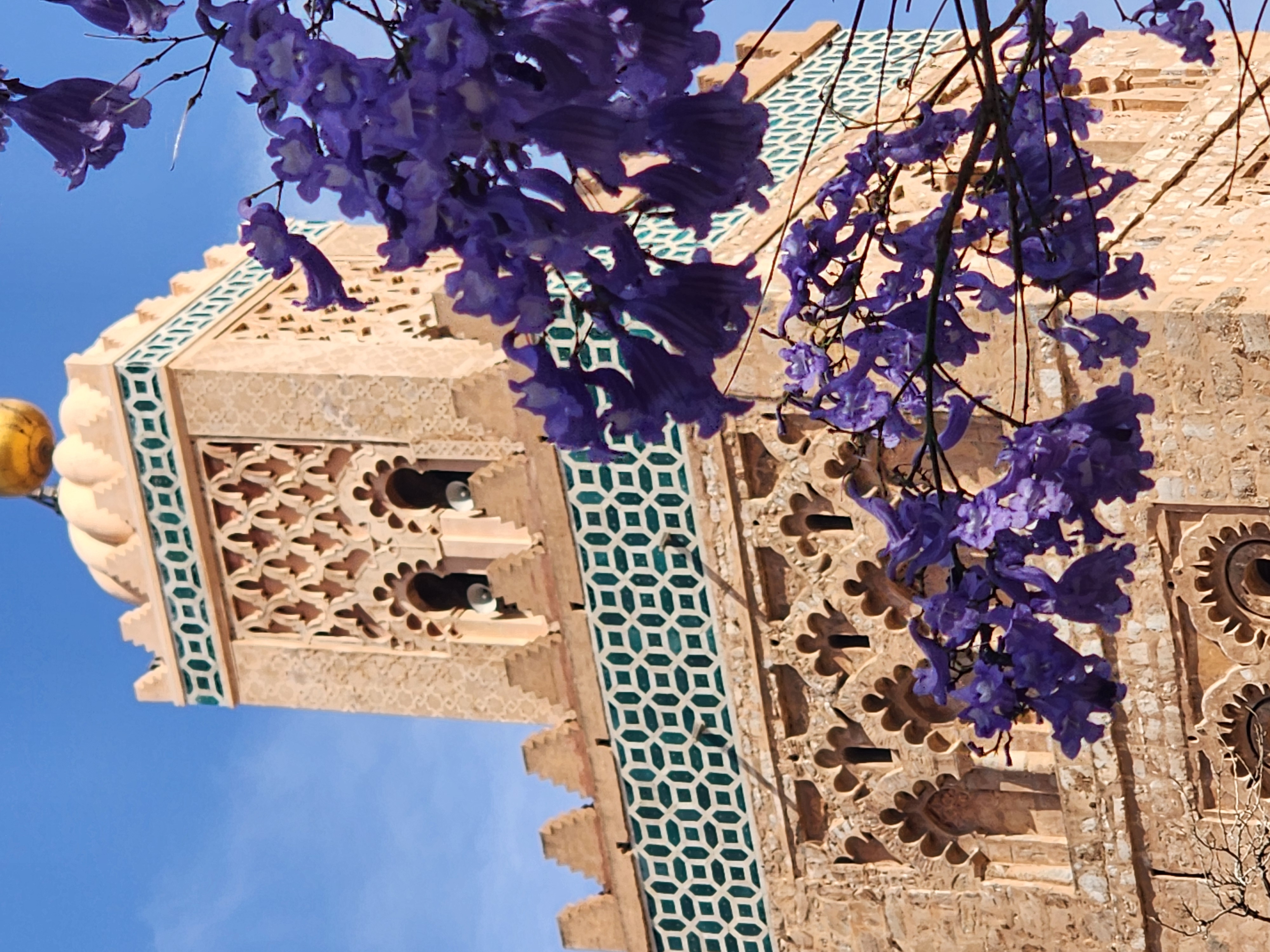 Выходные в Марокко 3 дня. (Касабланка, Танжер, Марракеш) (42/124)