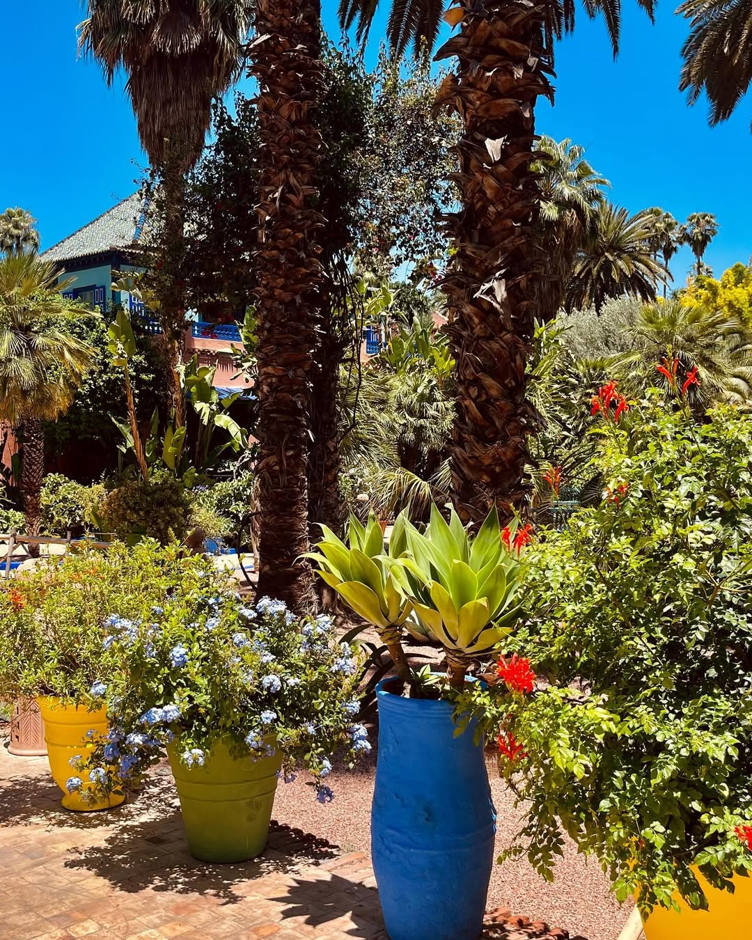 Выходные в Марокко 3 дня. (Касабланка, Танжер, Марракеш) (59/124)