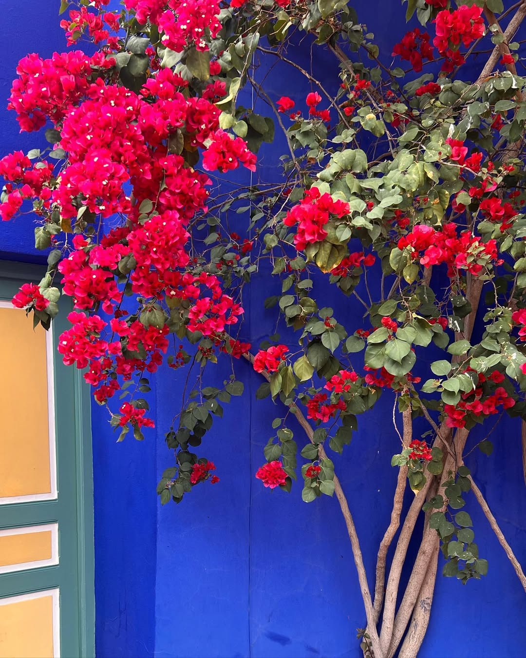 Выходные в Марокко 3 дня. (Касабланка, Танжер, Марракеш) (76/124)