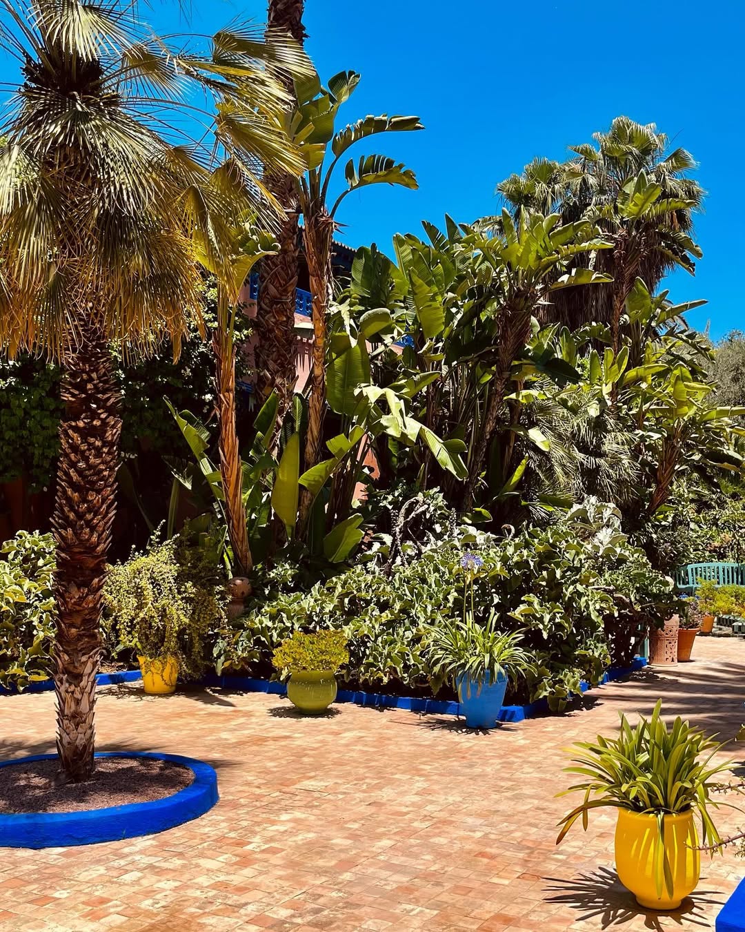 Выходные в Марокко 3 дня. (Касабланка, Танжер, Марракеш) (67/124)