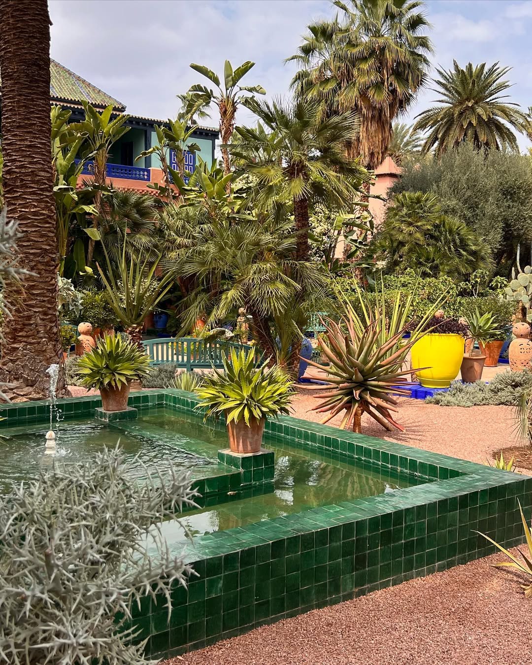 Выходные в Марокко 3 дня. (Касабланка, Танжер, Марракеш) (74/124)