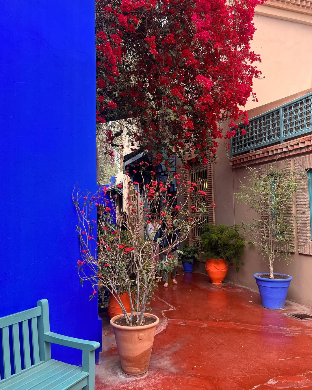 Выходные в Марокко 3 дня. (Касабланка, Танжер, Марракеш) (72/124)