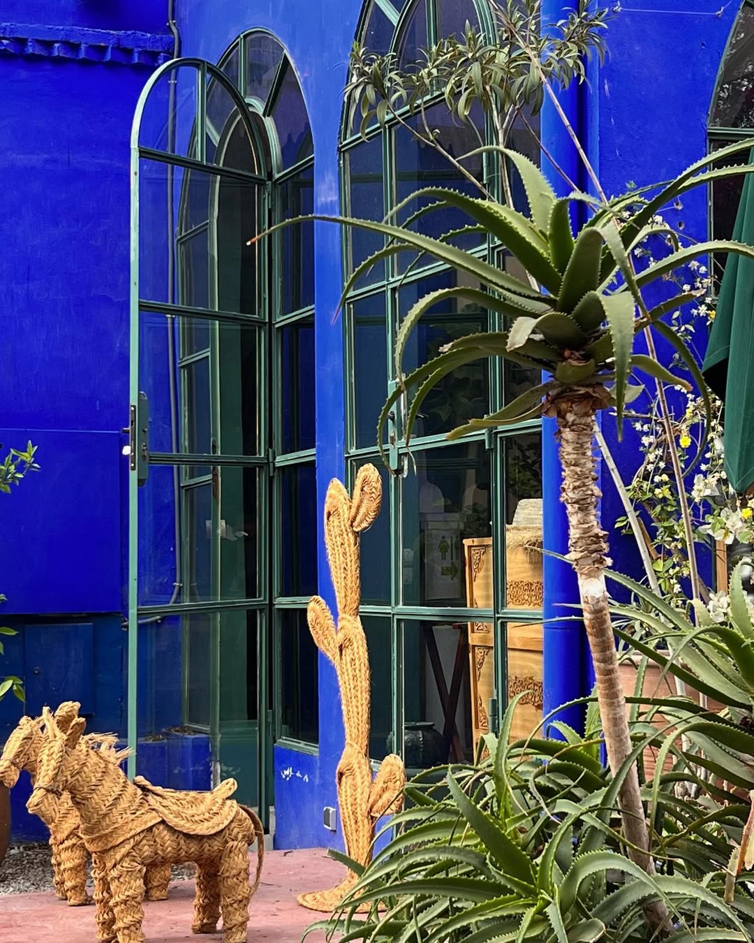 Выходные в Марокко 3 дня. (Касабланка, Танжер, Марракеш) (68/124)