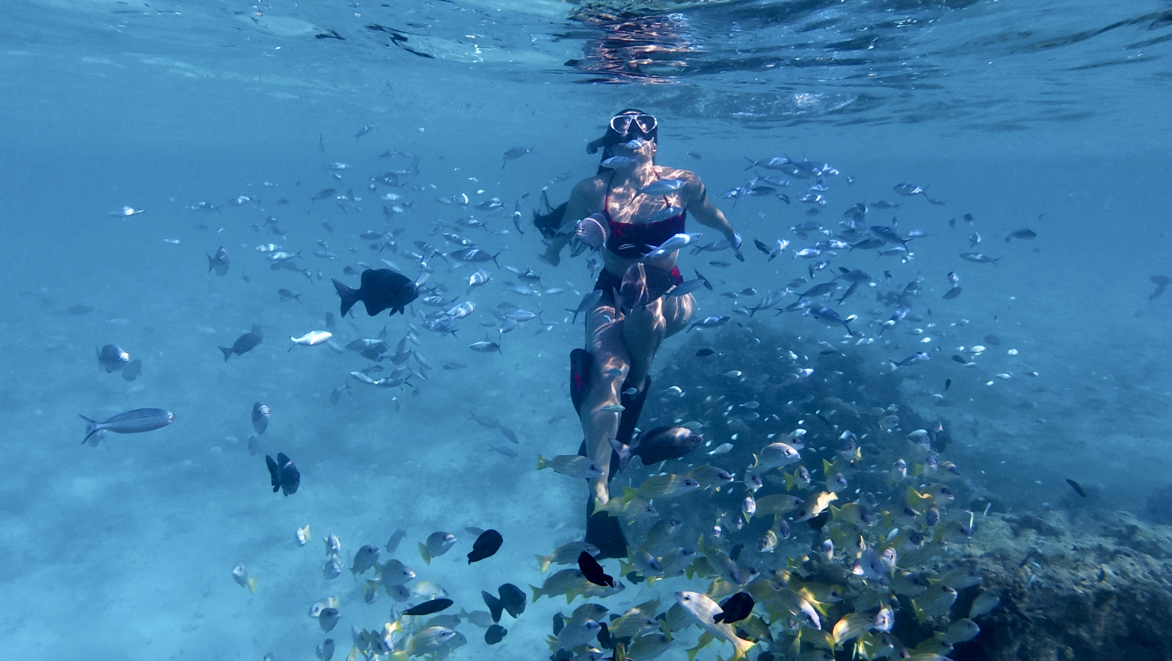 Тропическая дача: райский дайвинг, акулы и релакс (103/133)